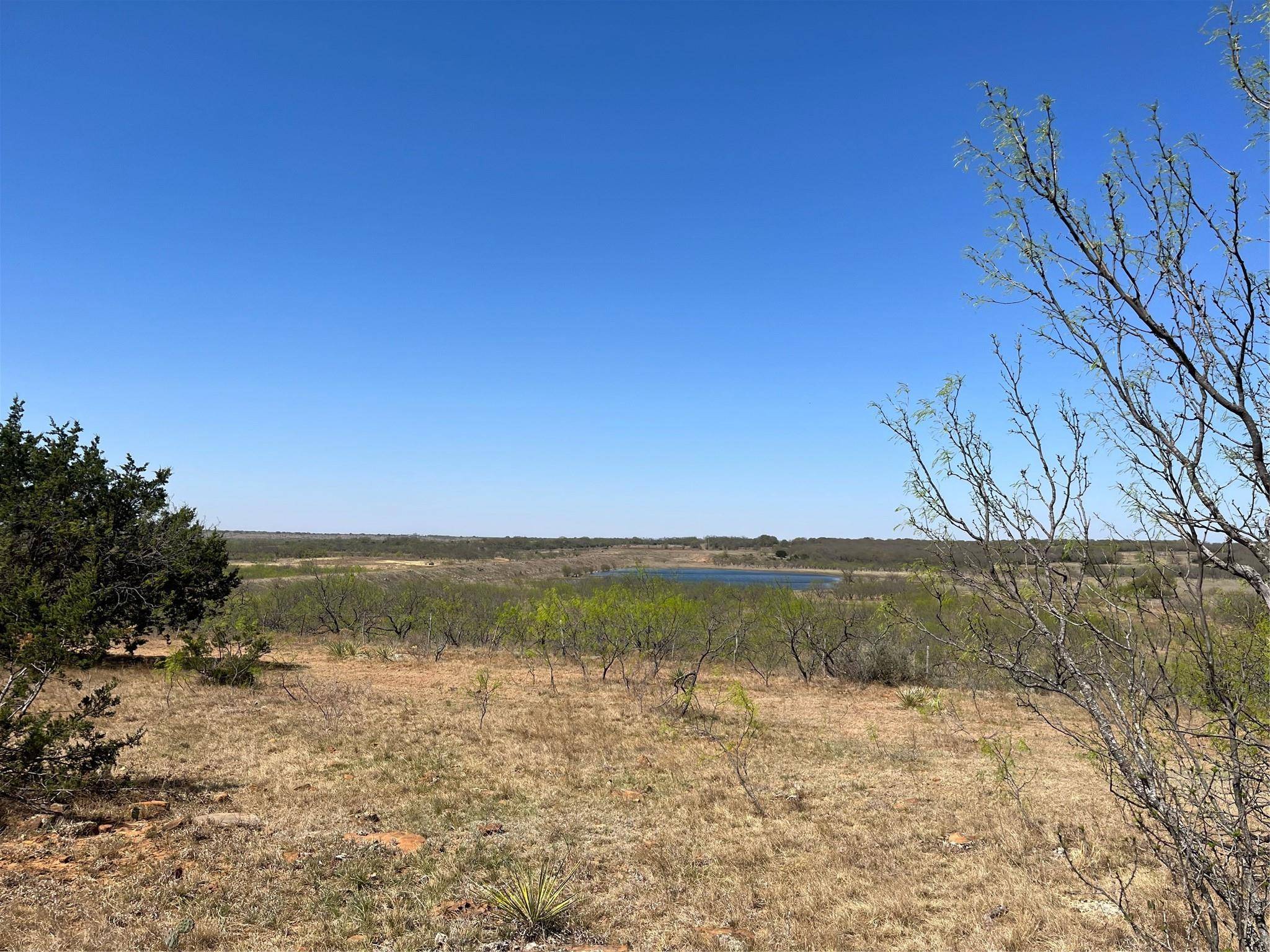 Cross Plains, TX 76443,Tract 3 FM 2287