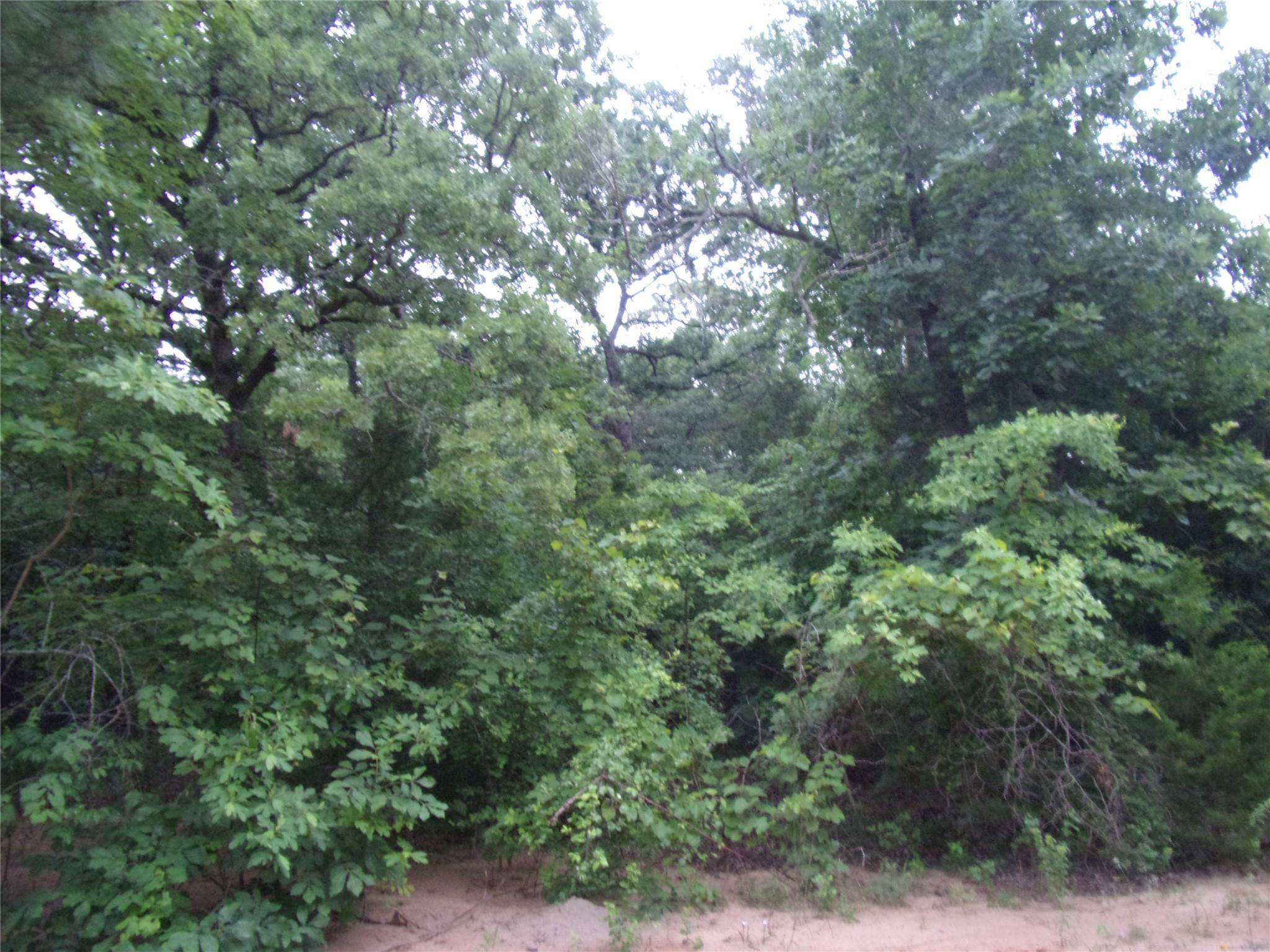 Murchison, TX 75778,tbd Timber Grove