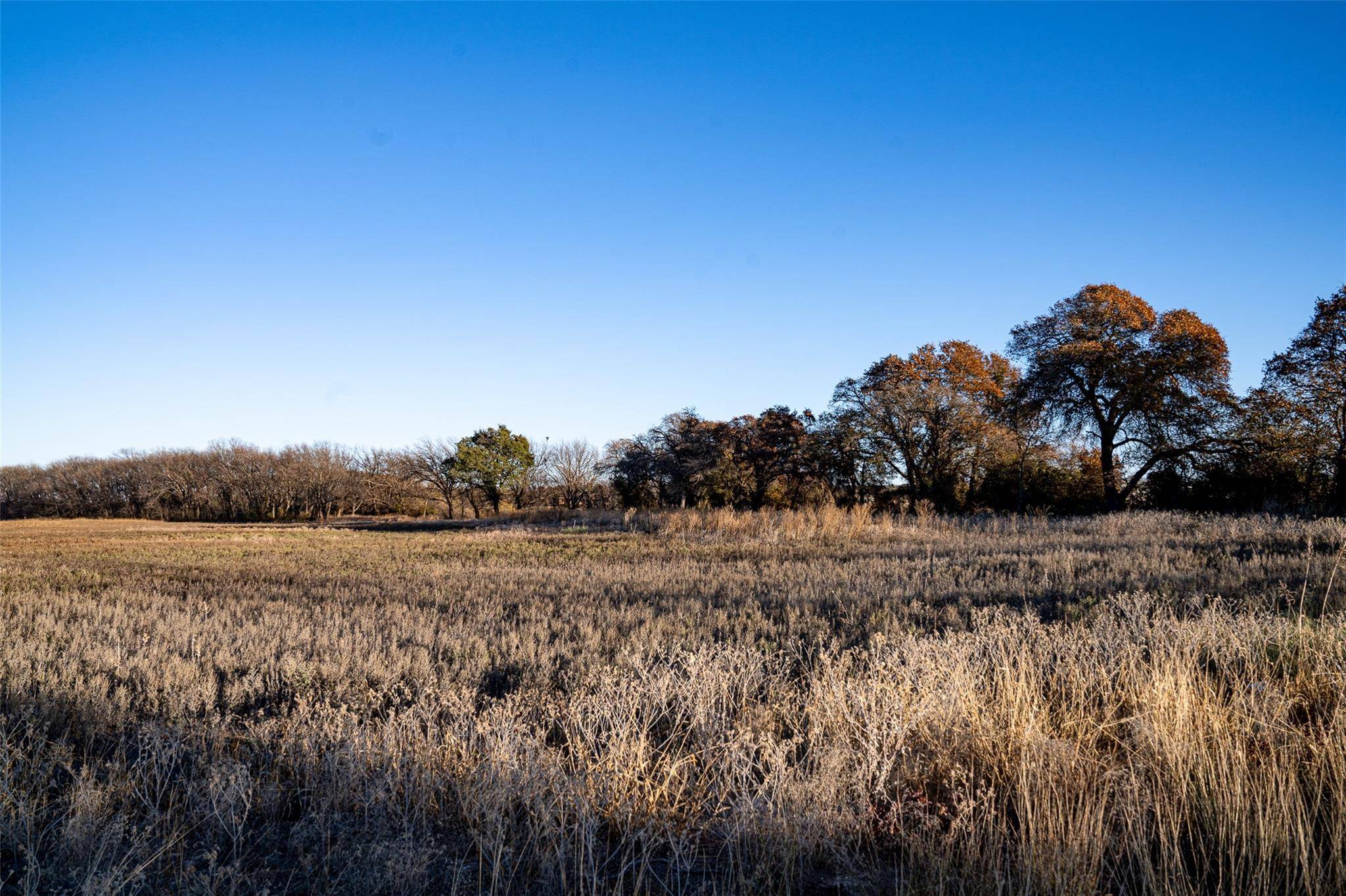 Rising Star, TX 76471,1871 COUNTY ROAD 252