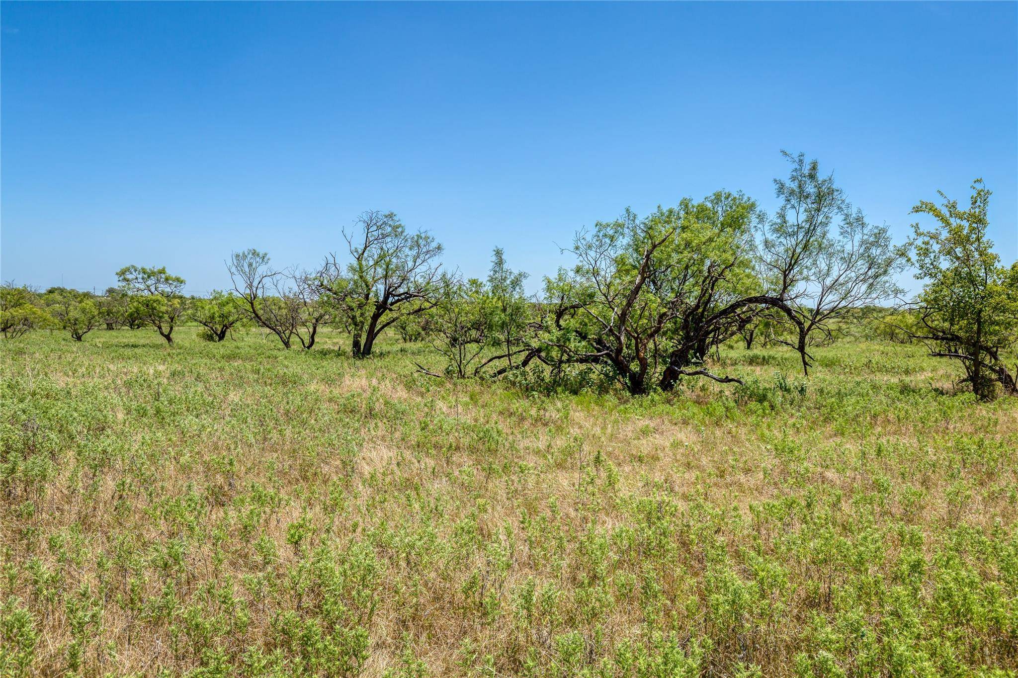 Perrin, TX 76458,7060 S US 281 Highway