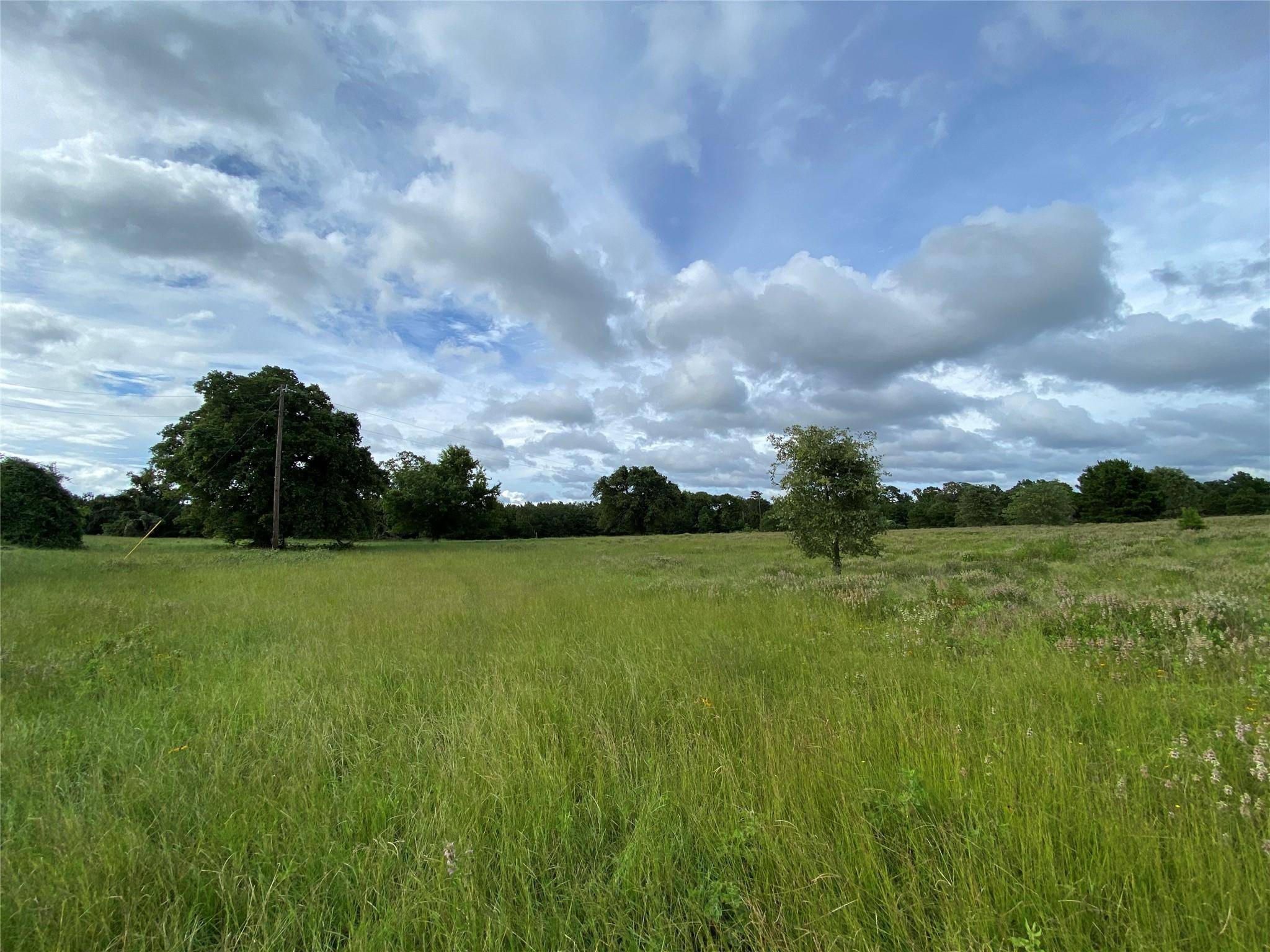 Grapeland, TX 75844,TBD Private Road 5215