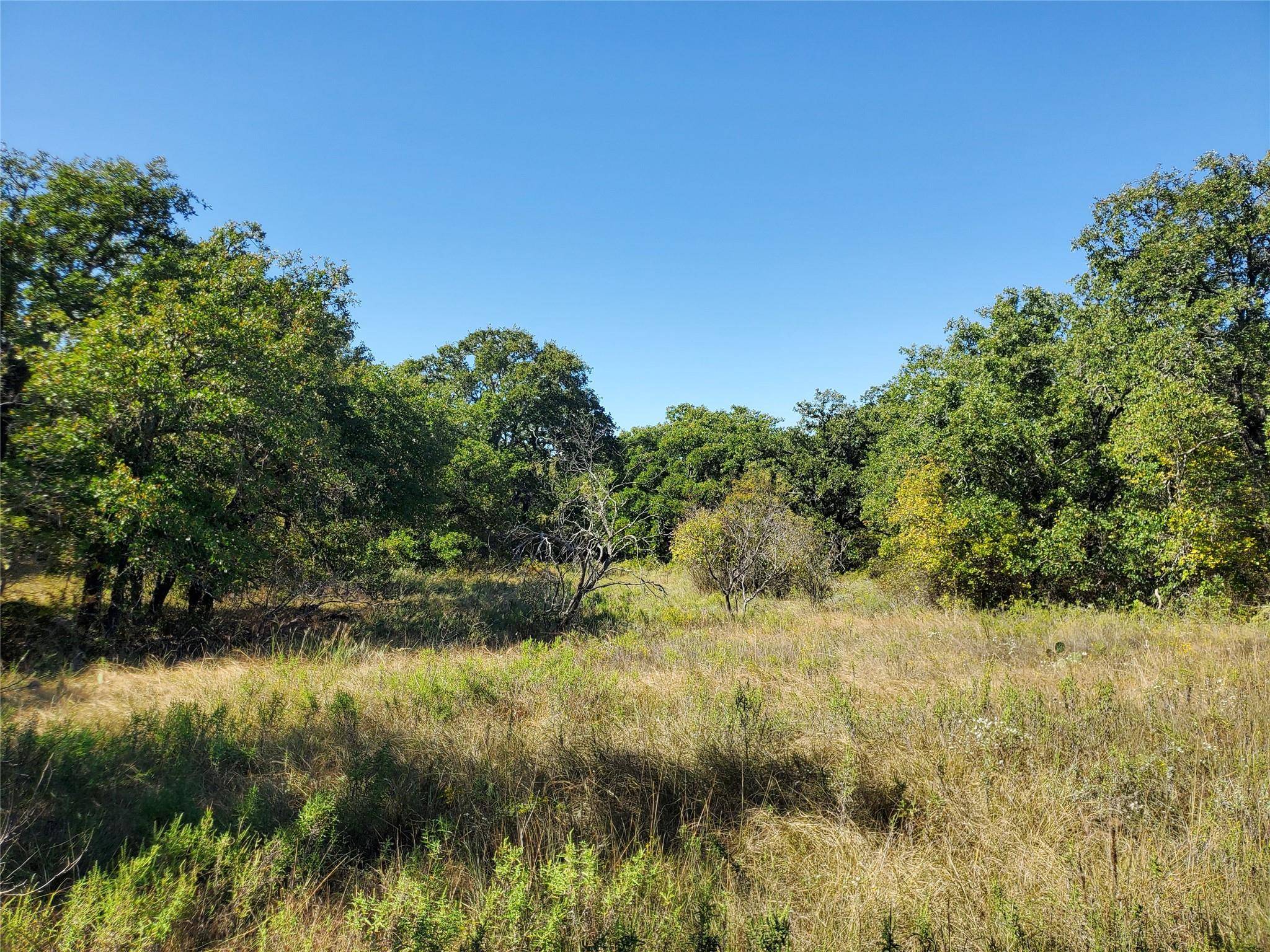 Cisco, TX 76437,TBD CR 581