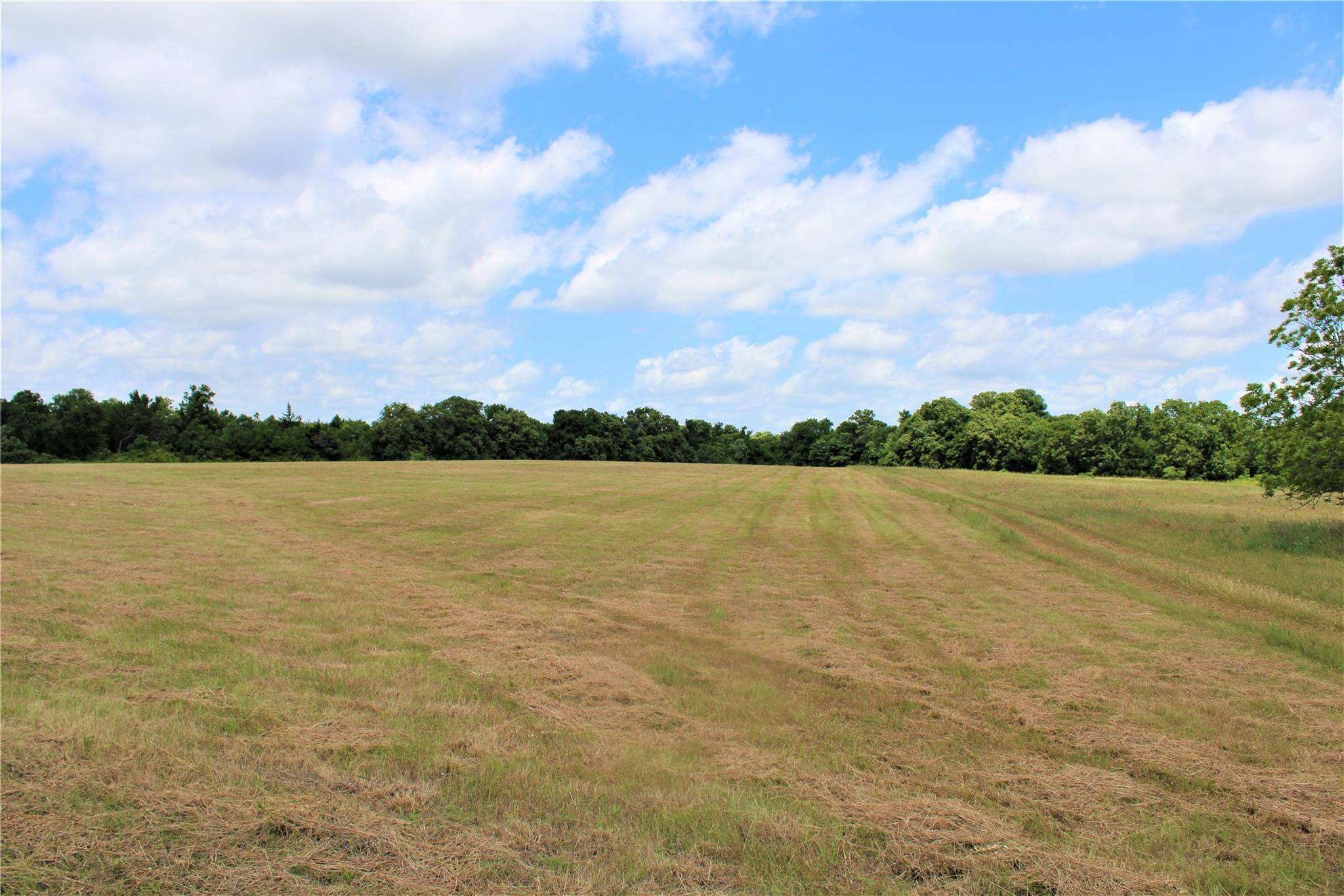 Itasca, TX 76055,TBD Fm 309