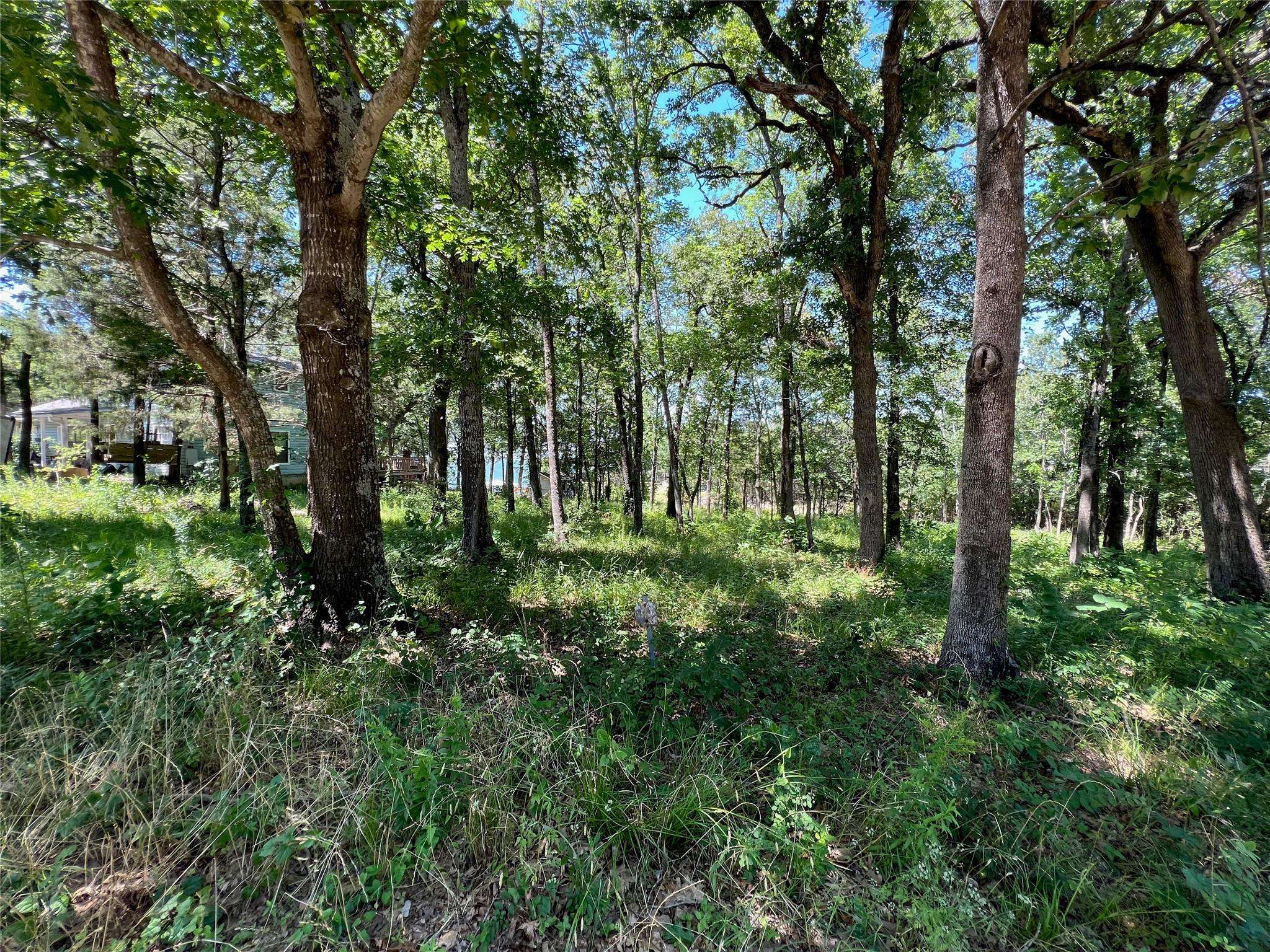 Streetman, TX 75859,Lot 37 Lakeview Drive