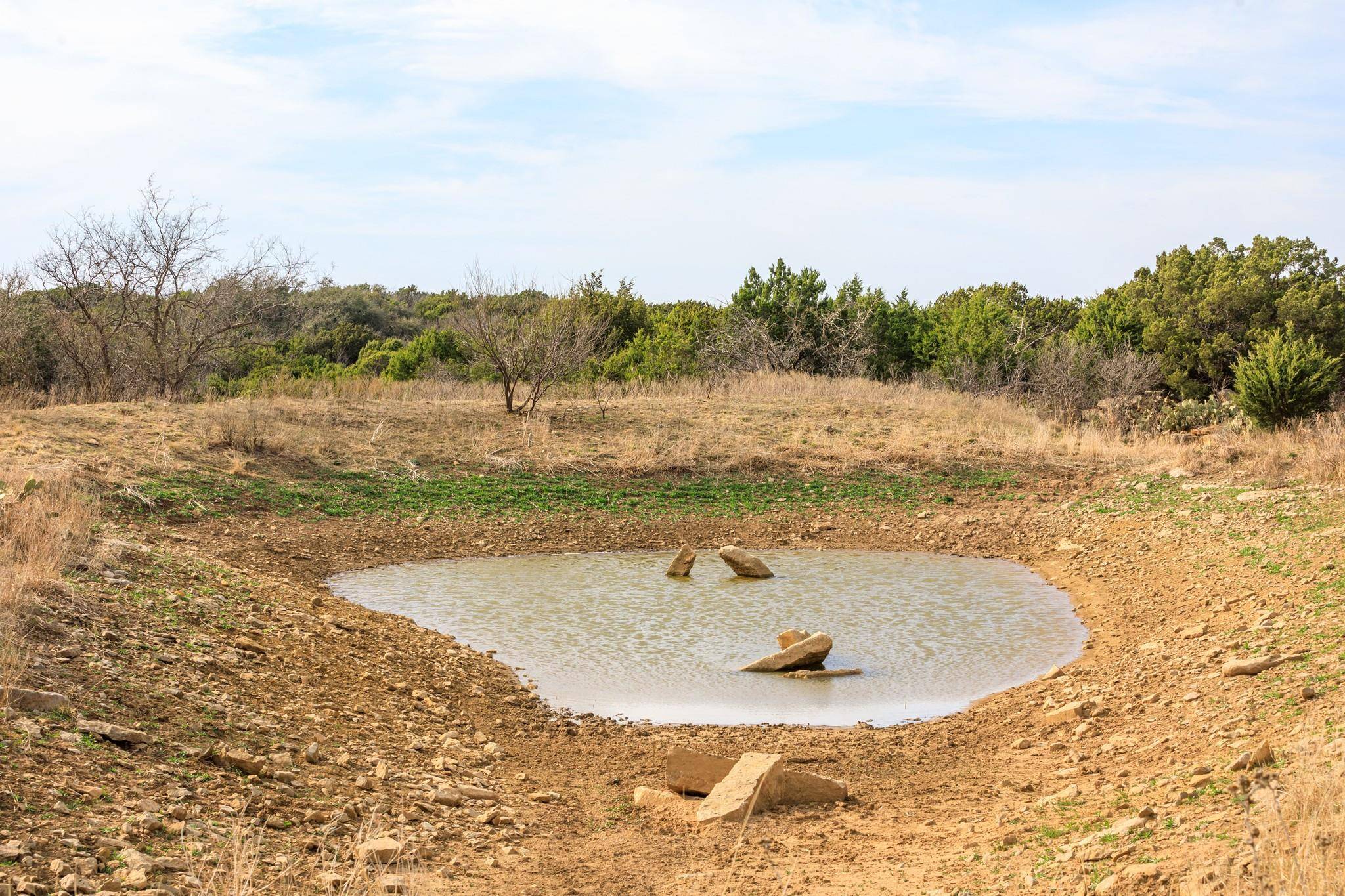 Baird, TX 79504,TBD 86 County Road 470