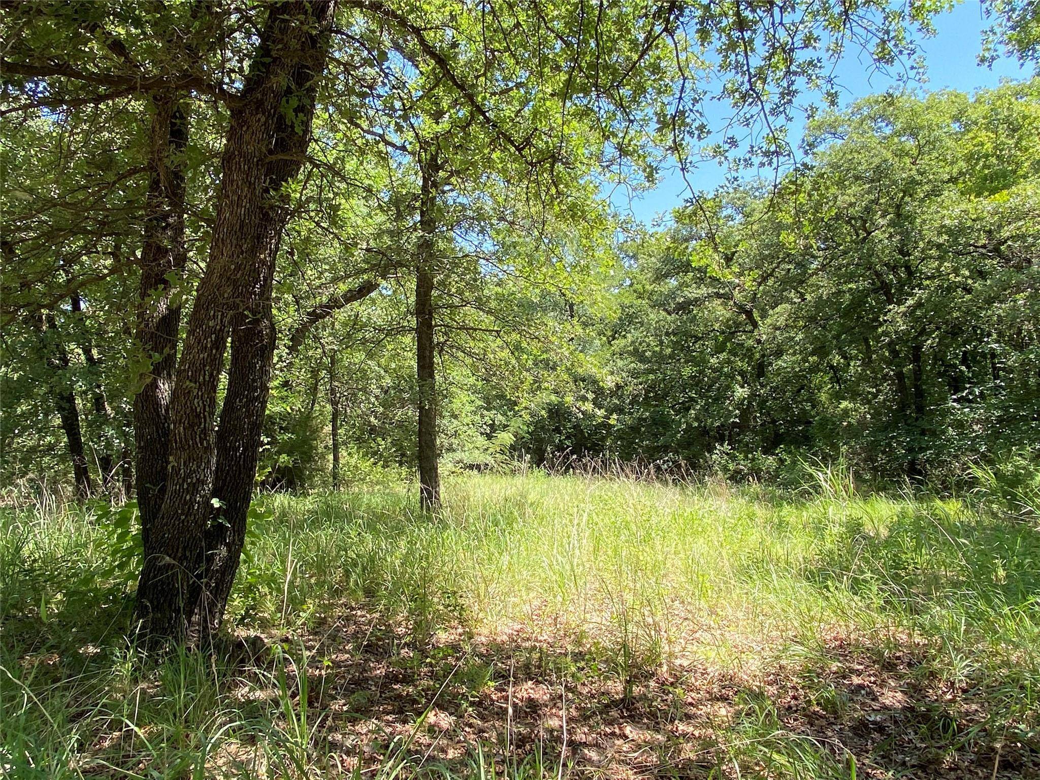 Alvord, TX 76225,10 acres Parker Dairy Road