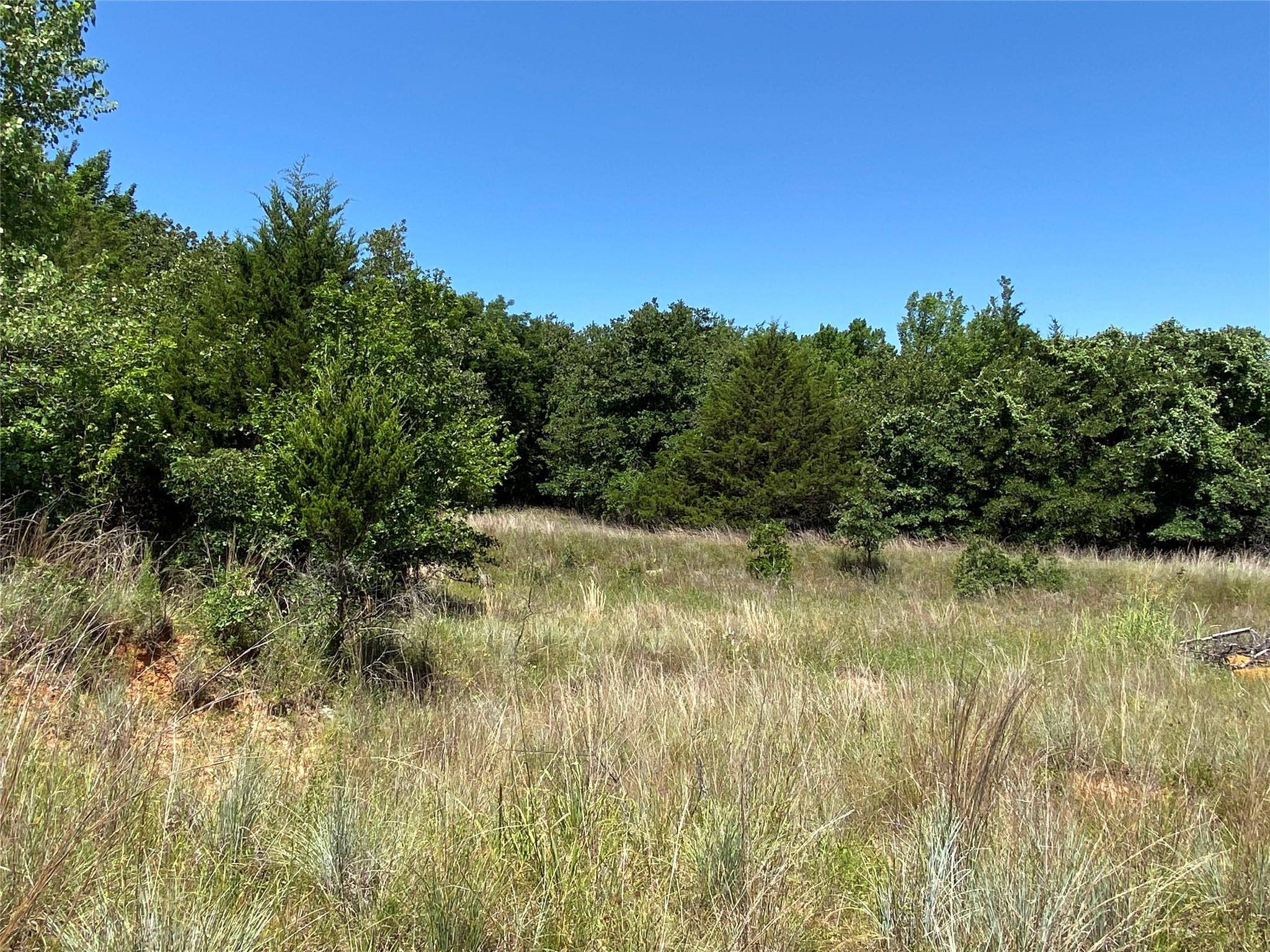 Alvord, TX 76225,10 acres Parker Dairy Road