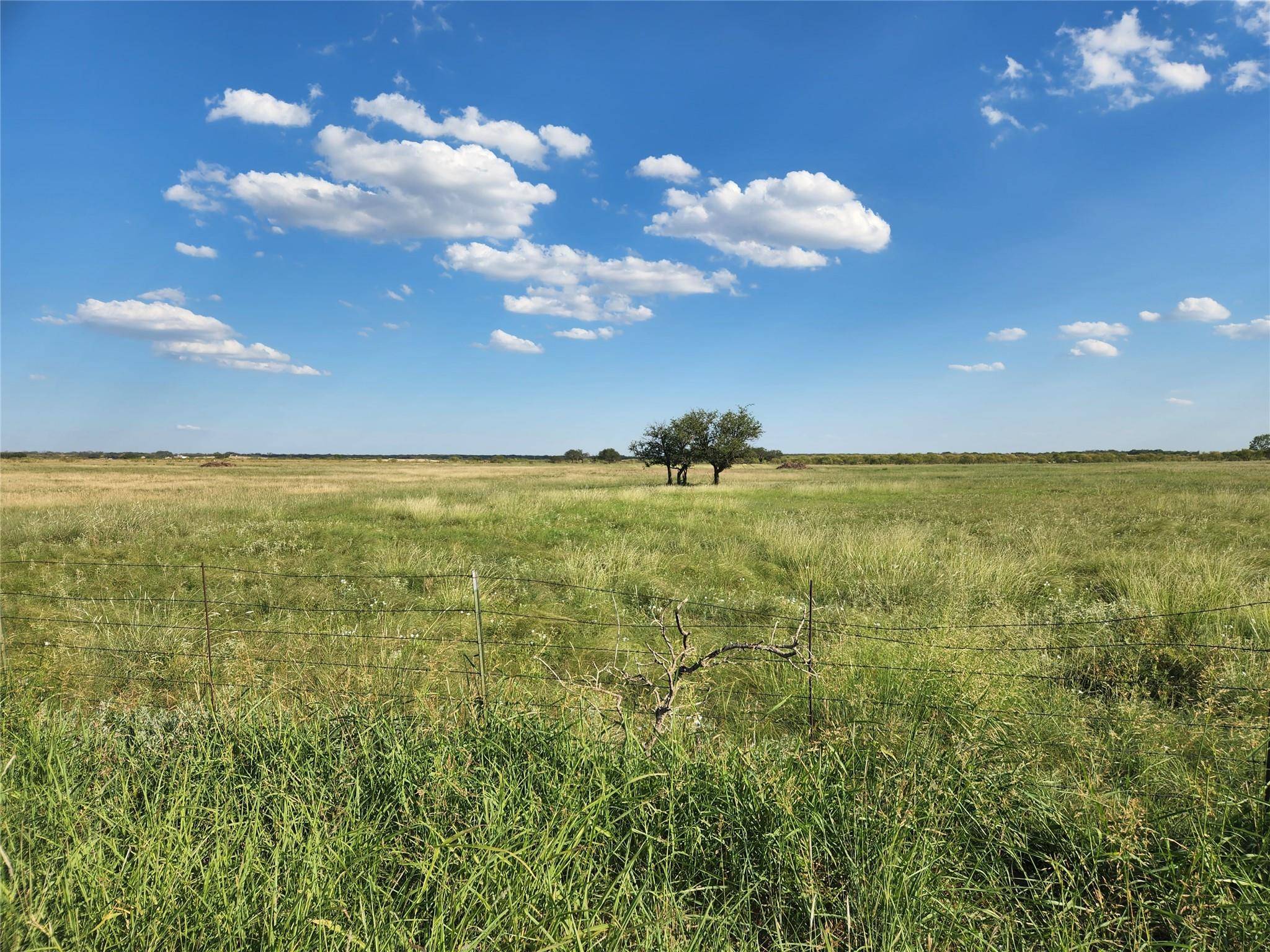 Brownwood, TX 76801,TBD CR 199