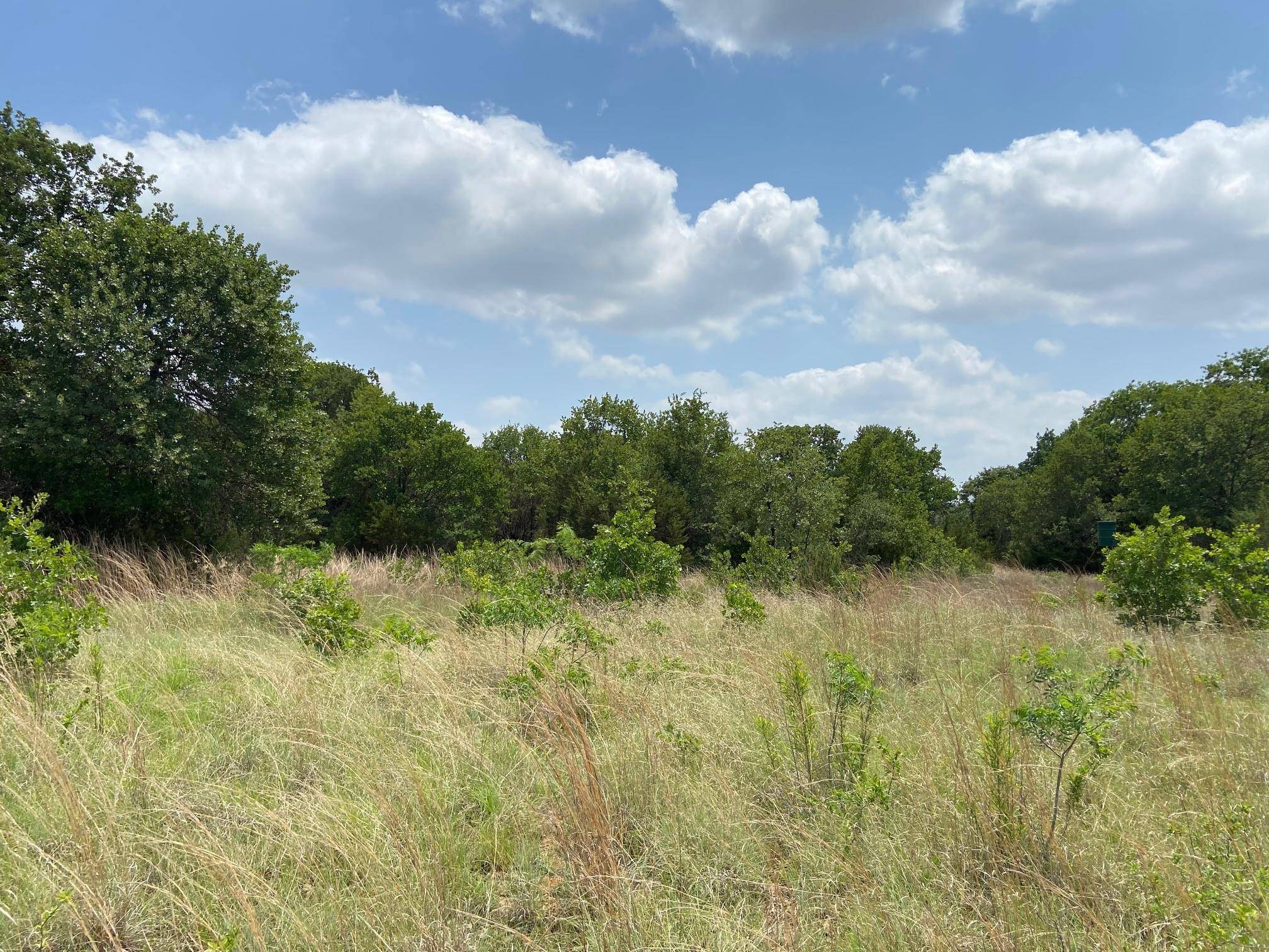 Glen Rose, TX 76043,TBD CR 2030