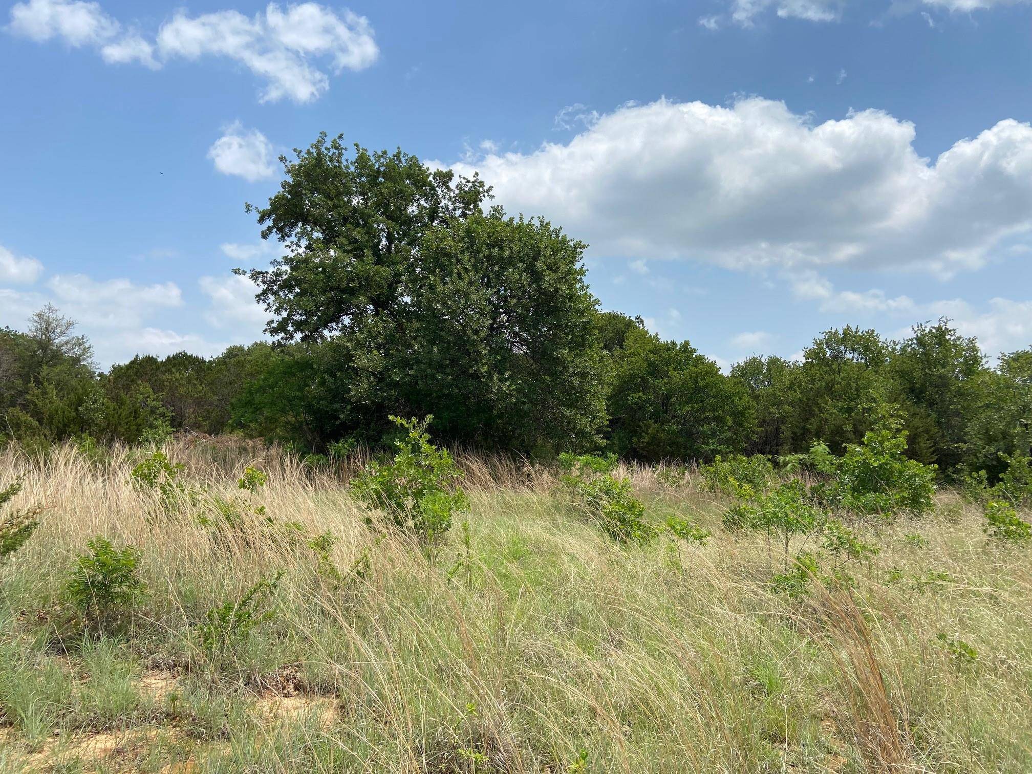 Glen Rose, TX 76043,TBD CR 2030