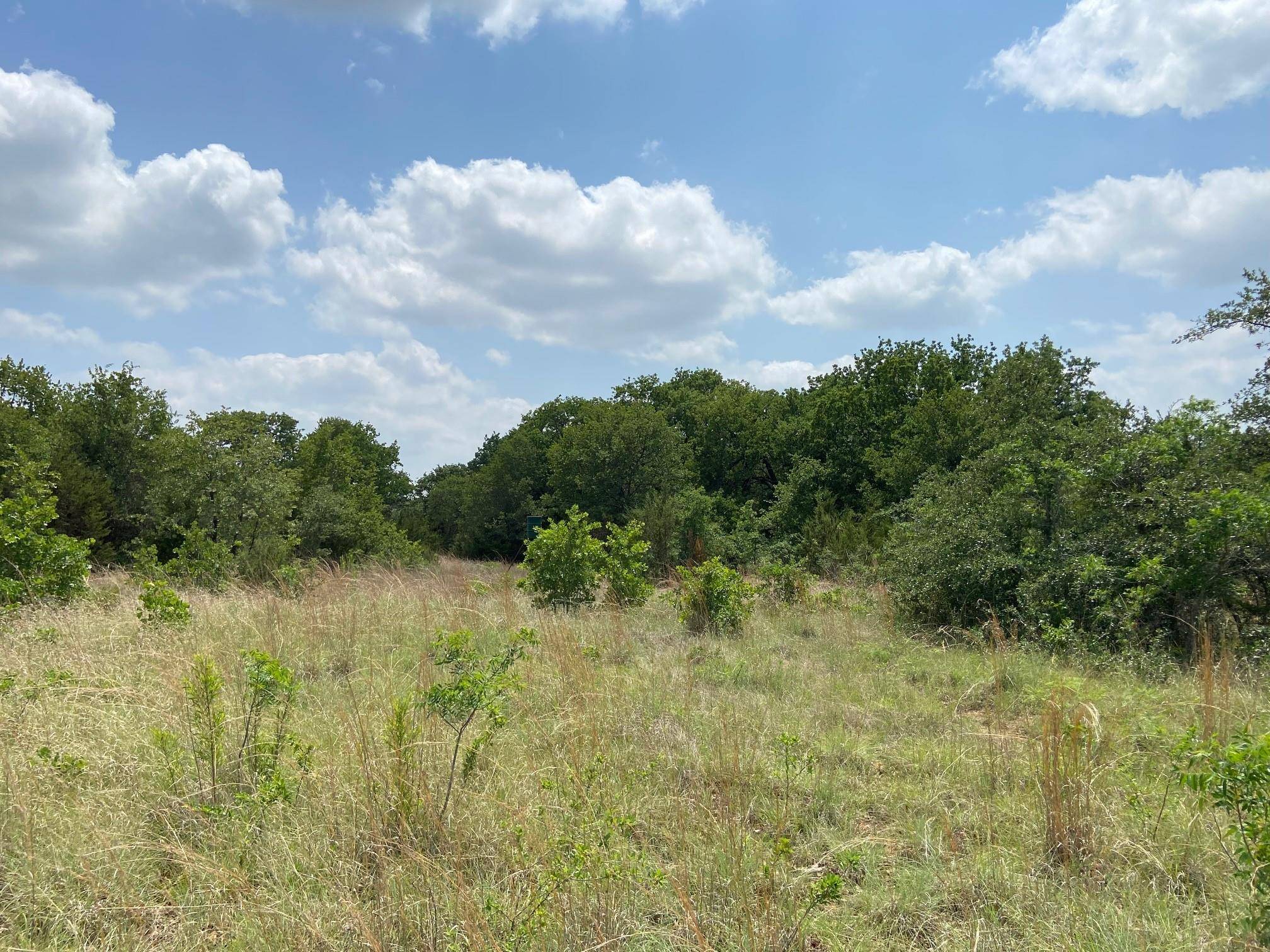 Glen Rose, TX 76043,TBD CR 2030