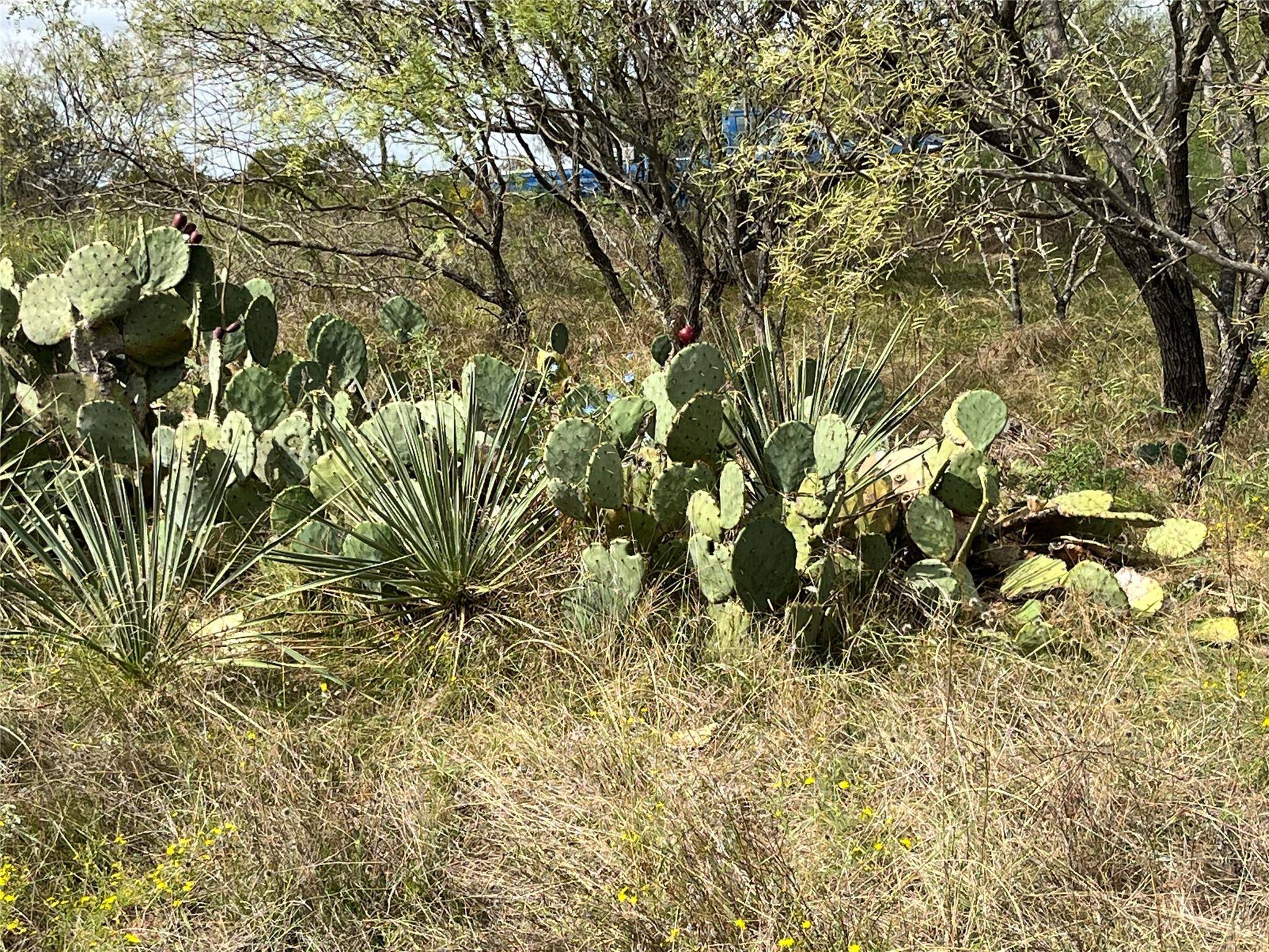 Cisco, TX 76471,Tract 9 CR 223