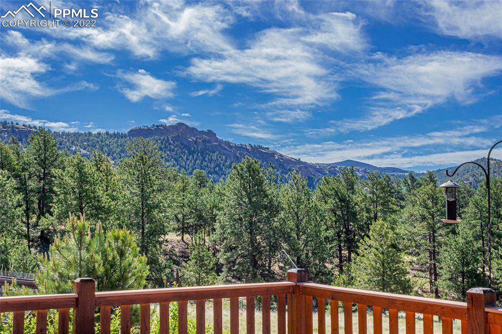 Florissant, CO 80816,146 Cherokee PL