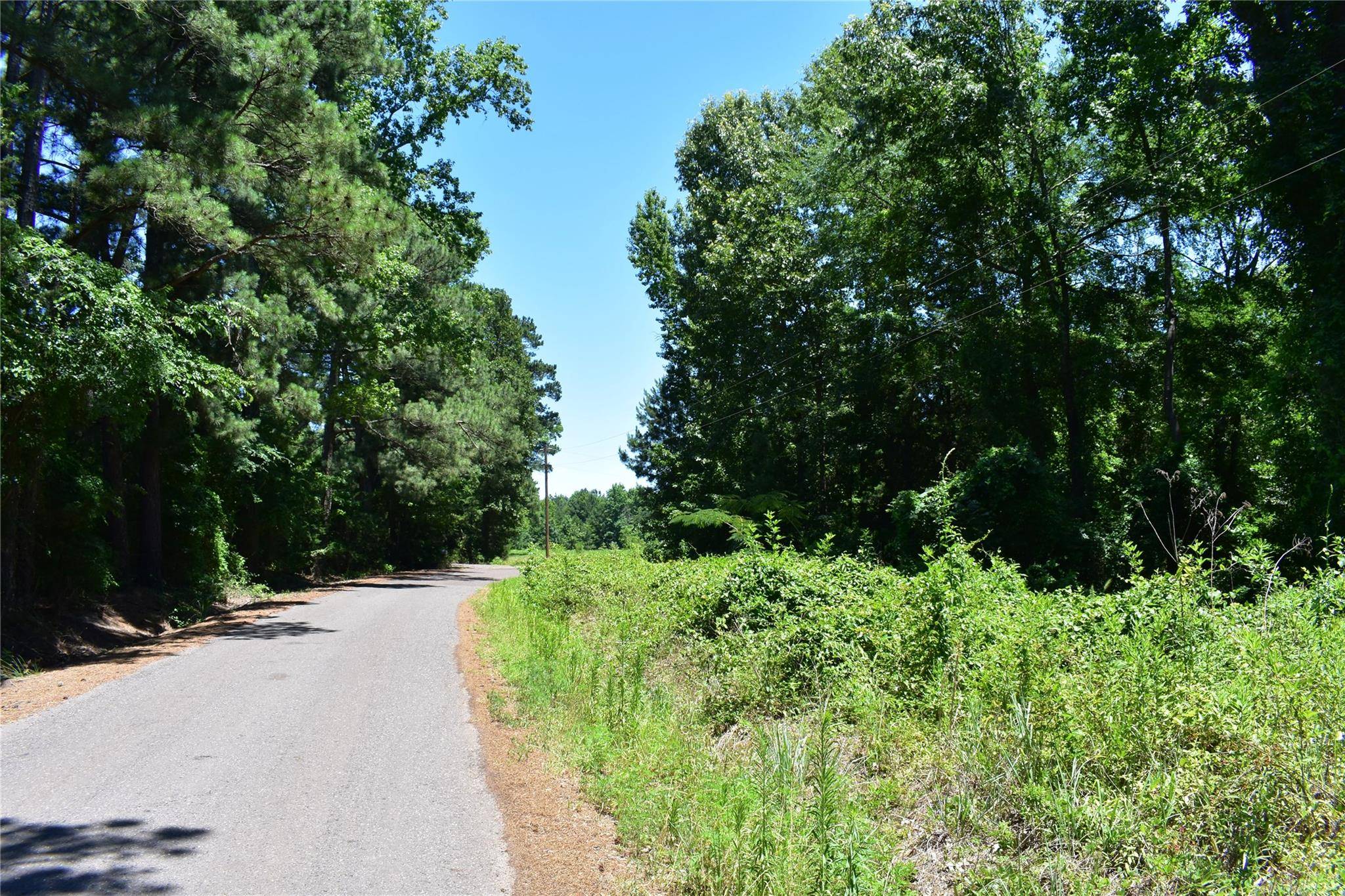 Gilmer, TX 75644,4.5 Ac Poinsettia Road