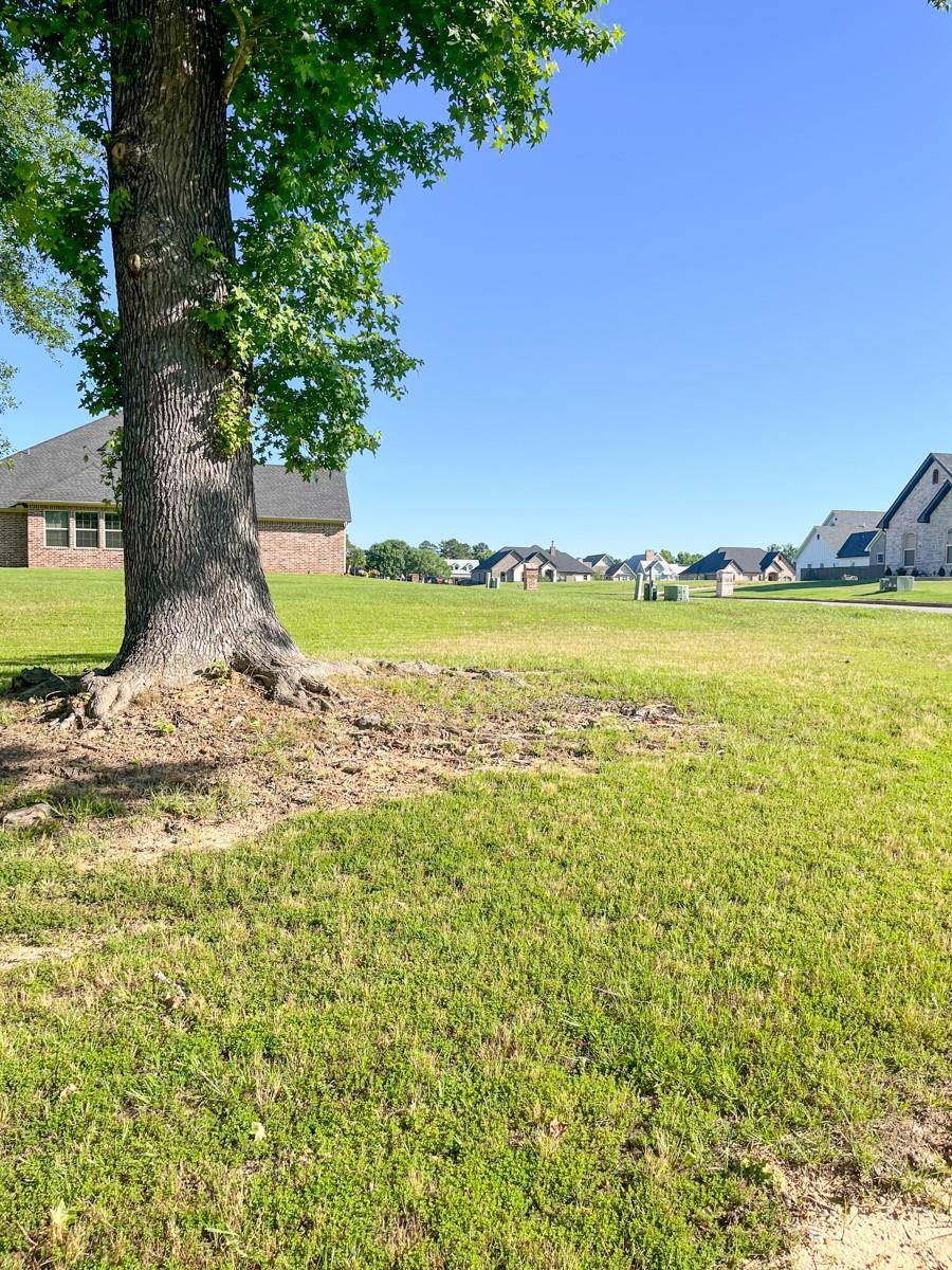 Lindale, TX 75771,23001 Red Azalea