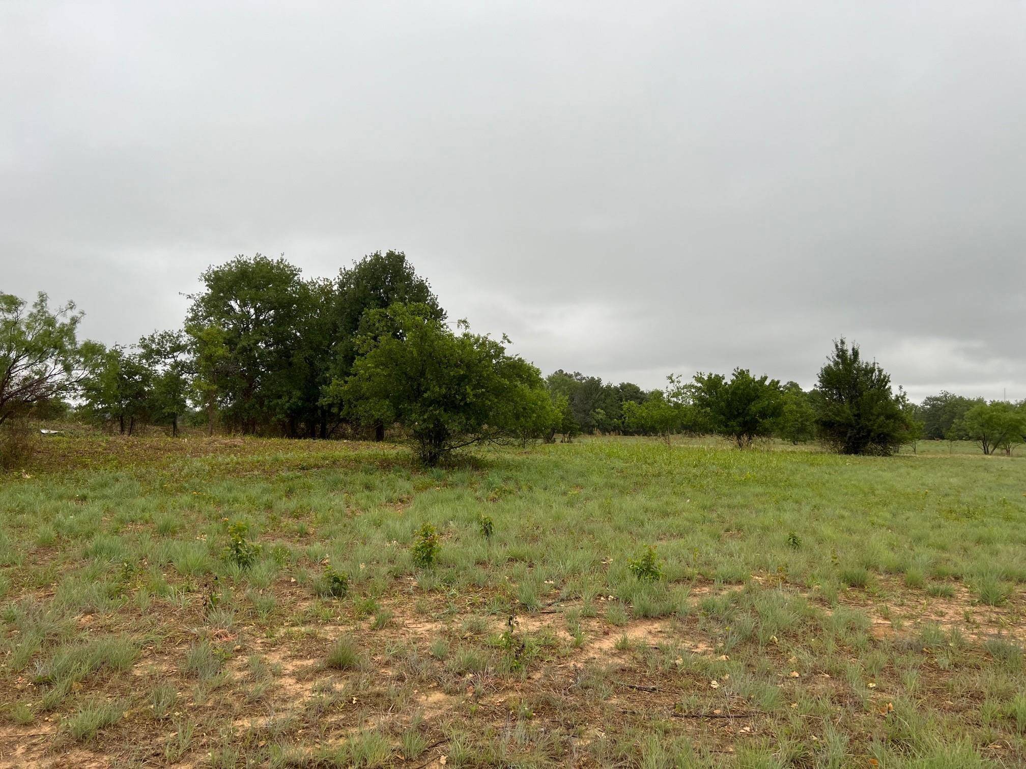 Clyde, TX 79510,TBD Hawk Lane