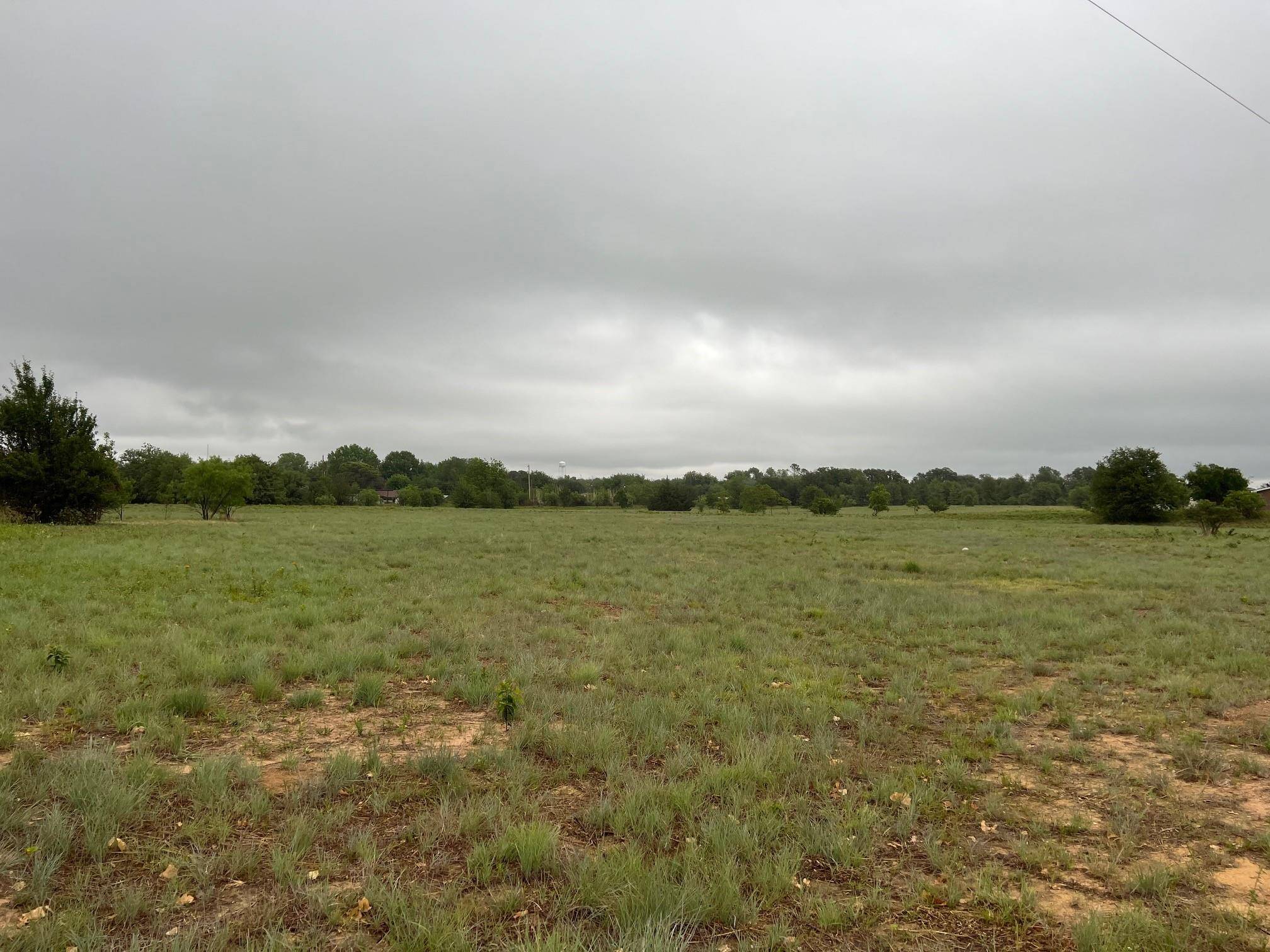 Clyde, TX 79510,TBD Hawk Lane