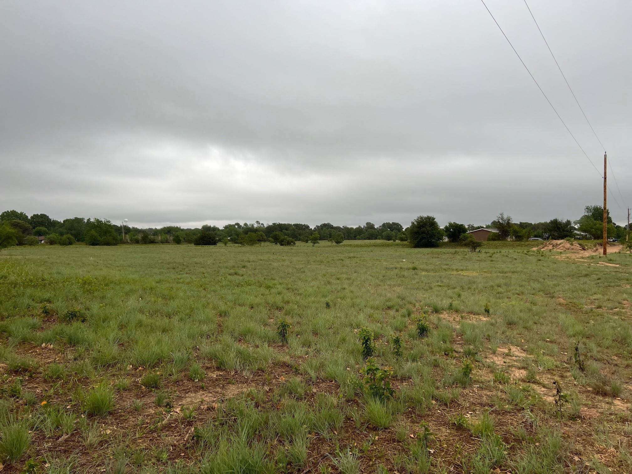 Clyde, TX 79510,TBD Hawk Lane