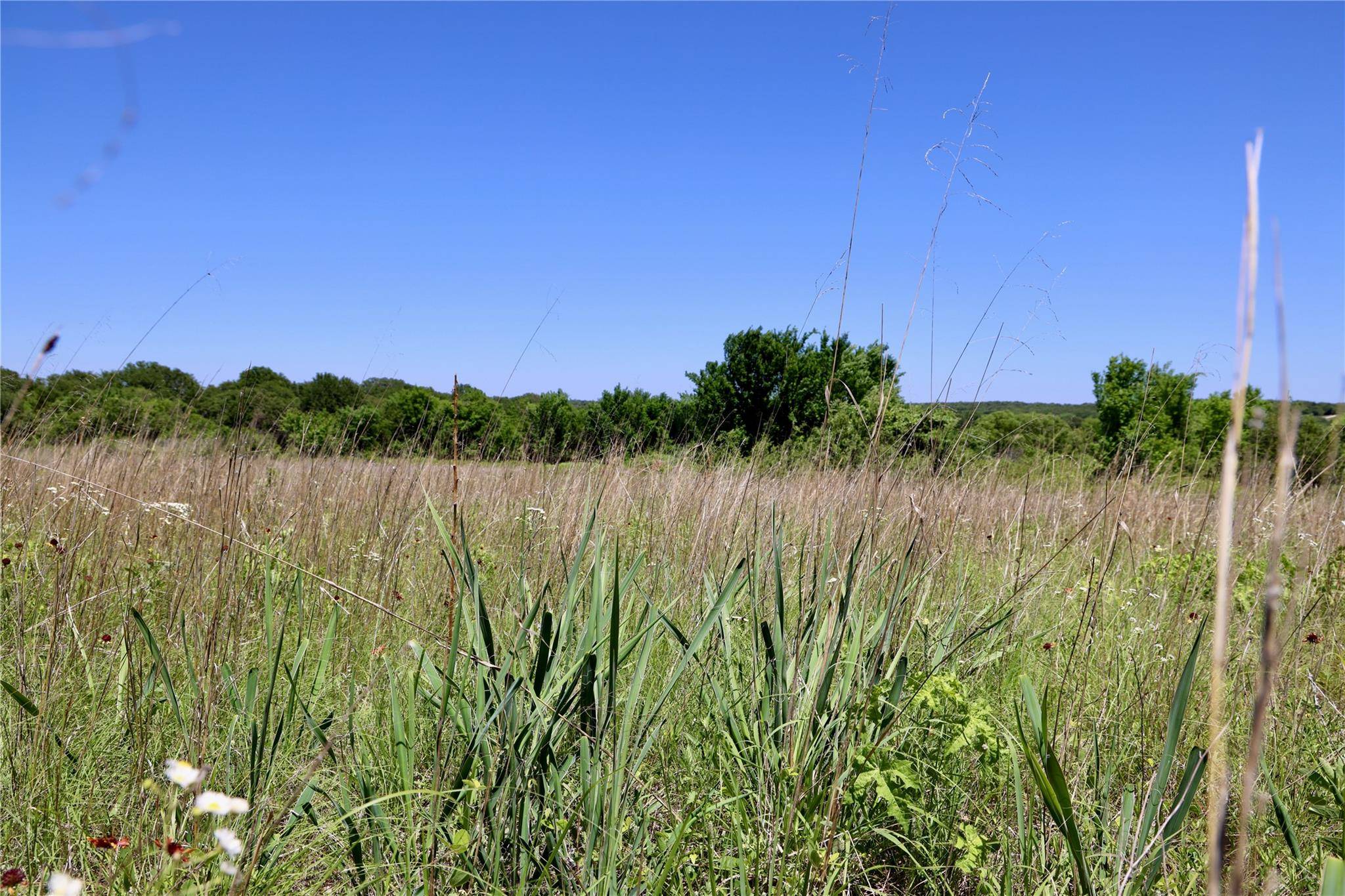 Forestburg, TX 76239,Tract 2 Boyd Road