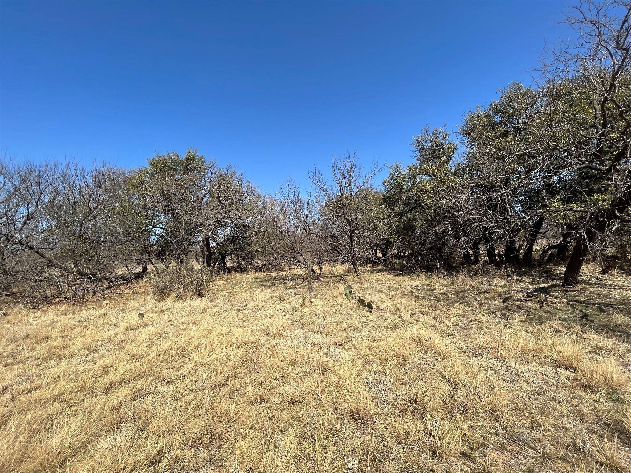 Cisco, TX 76437,TBD Tract 2 FM 2945