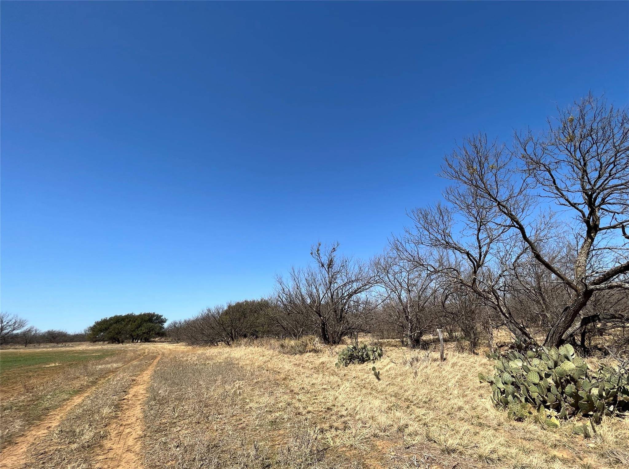 Cisco, TX 76437,TBD Tract 2 FM 2945