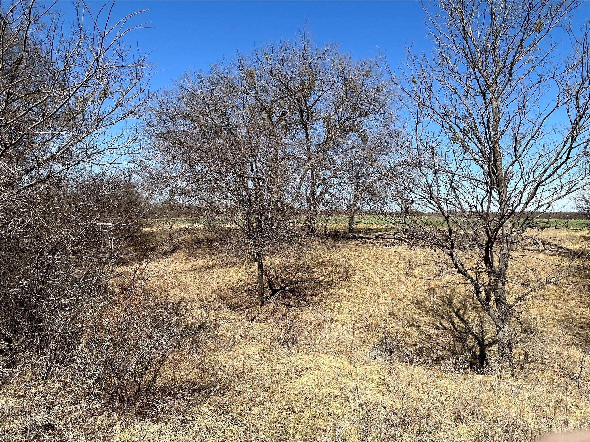 Cisco, TX 76437,TBD Tract 2 FM 2945