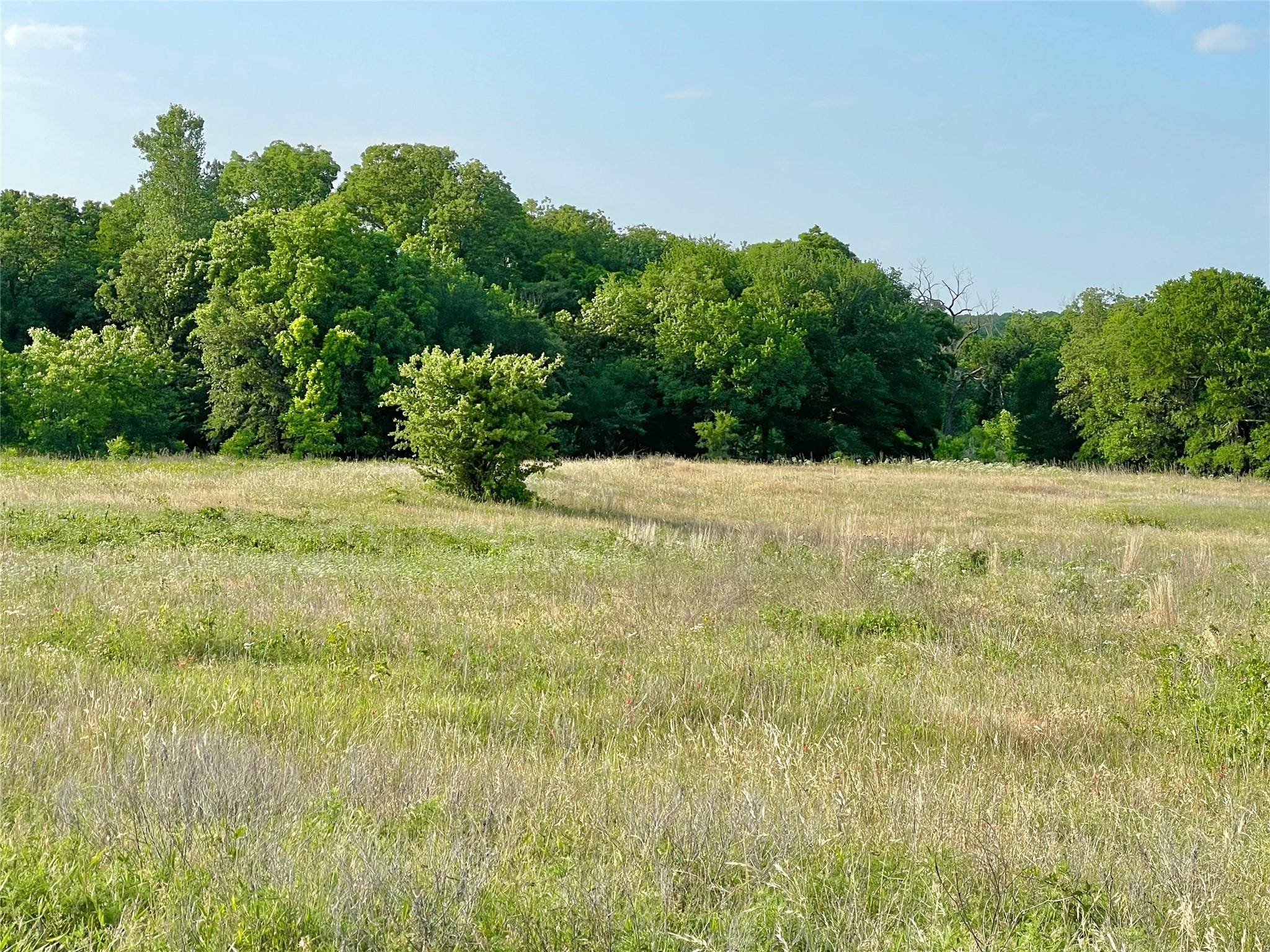 Alvord, TX 76225,390 Rolling Hills Boulevard