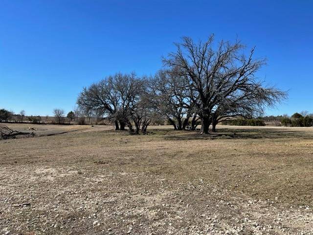 Hico, TX 76457,TBD County Road 119