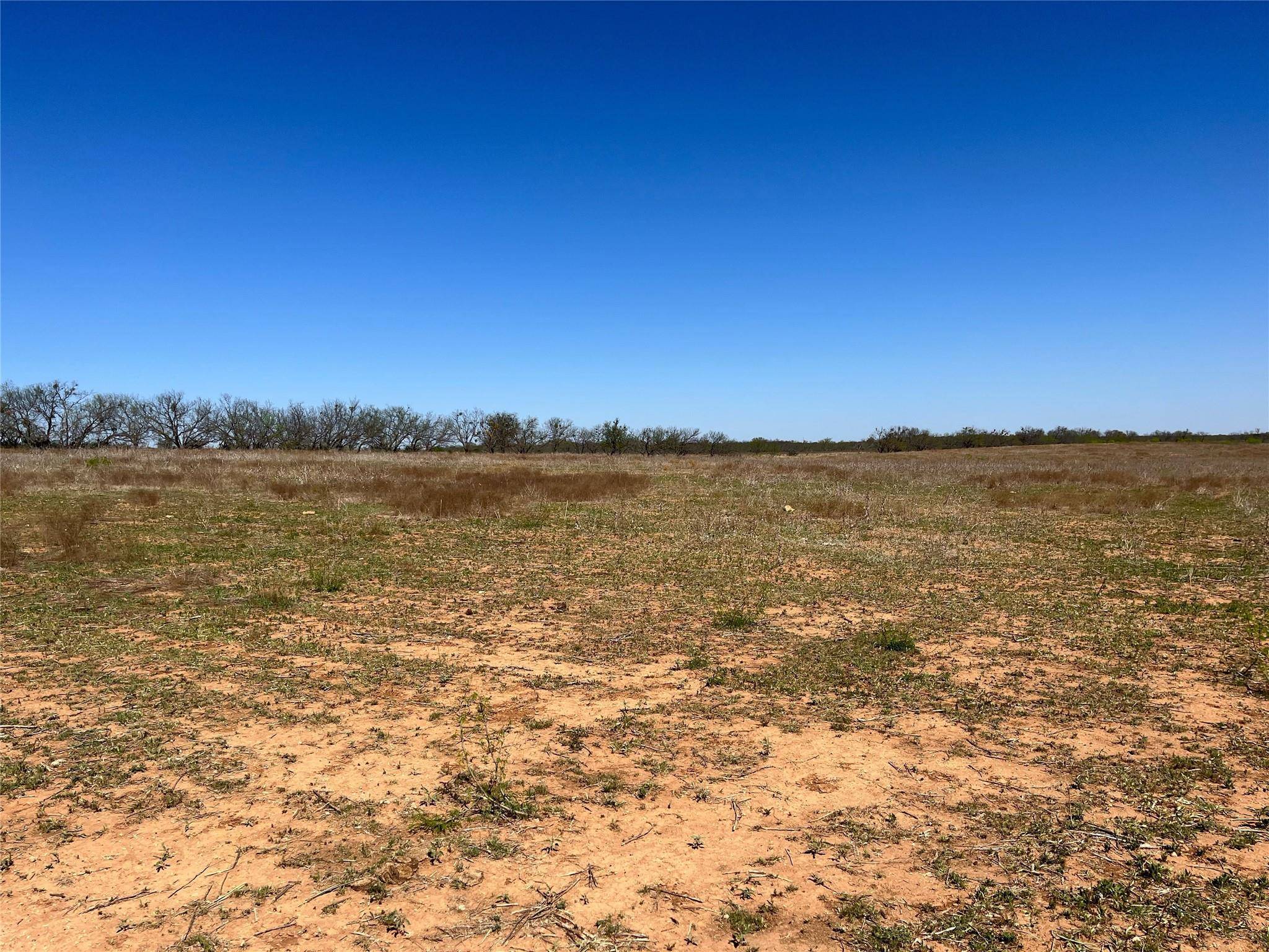 Cross Plains, TX 76443,Tract 1 FM 2287