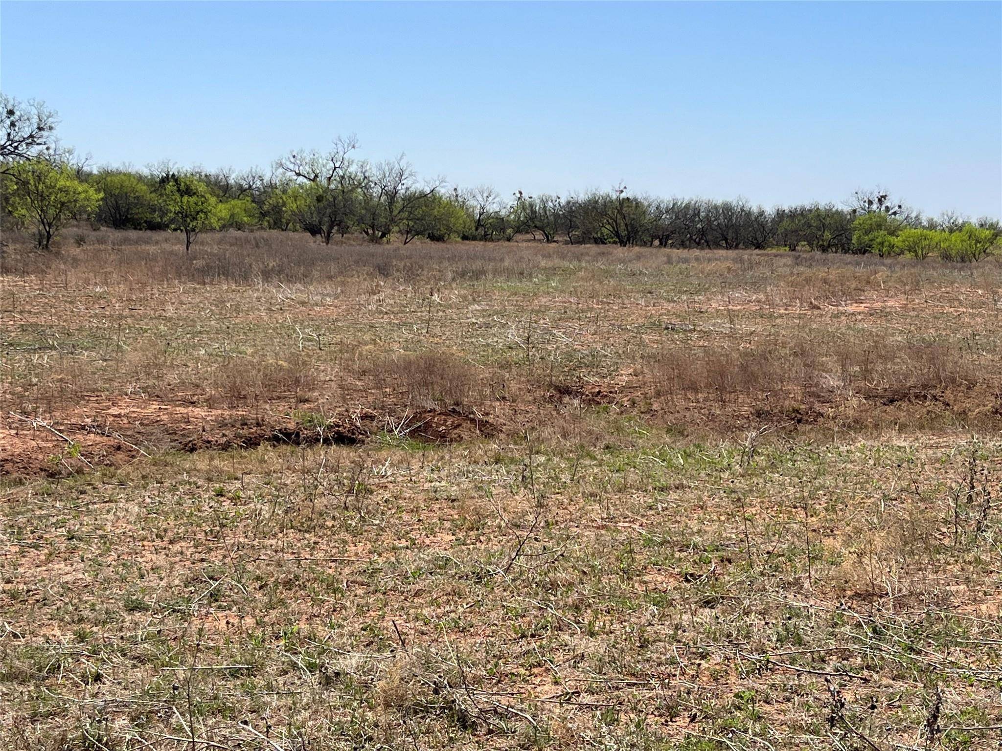 Cross Plains, TX 76443,Tract 1 FM 2287