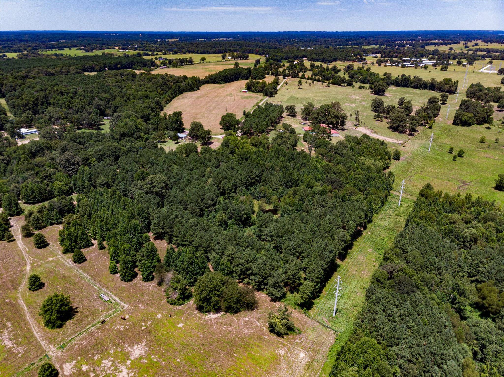 Scroggins, TX 75480,22.5 Ac County Rd SE 4405