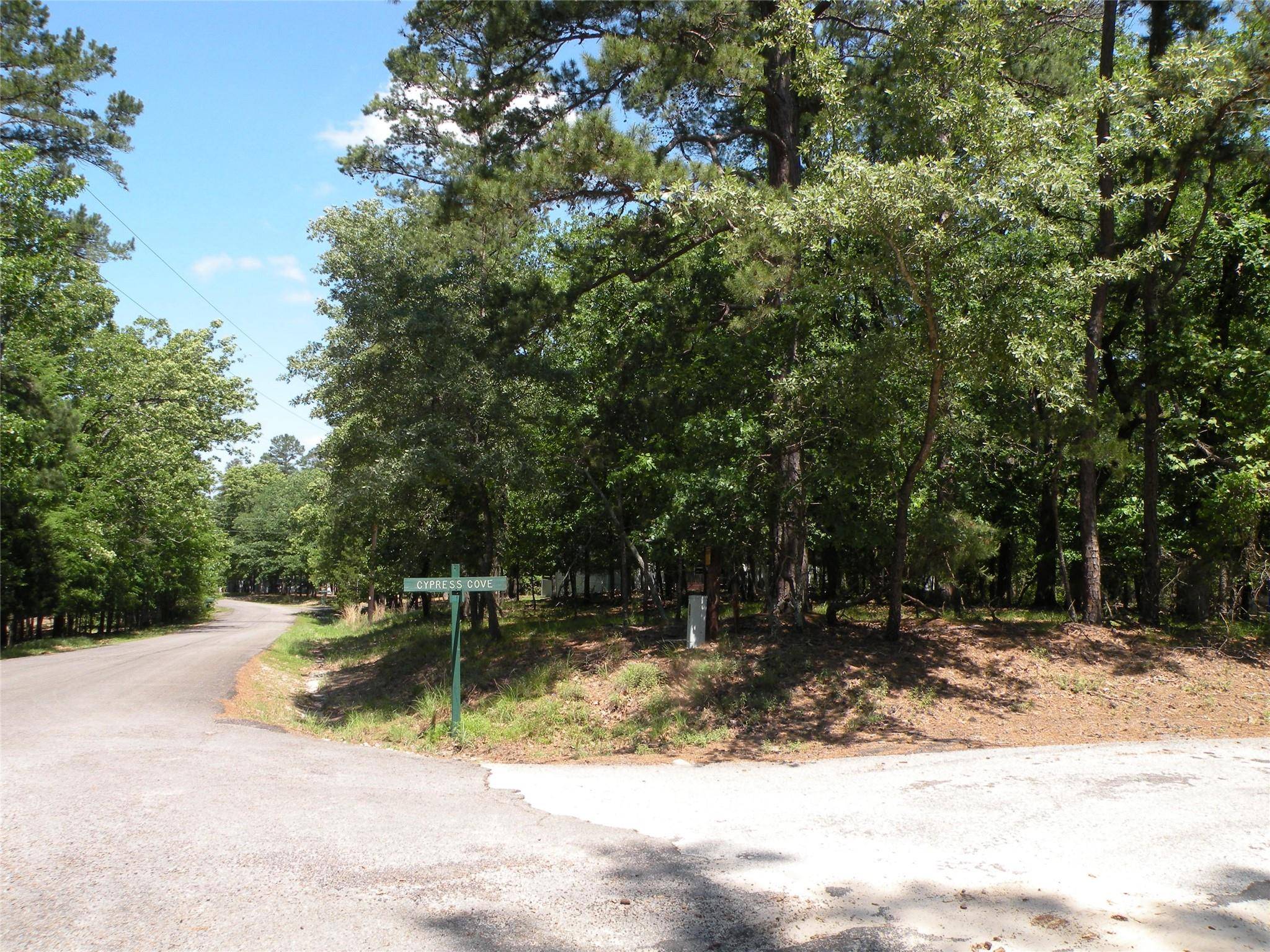 Holly Lake Ranch, TX 75765,8-639 Cypress Cove