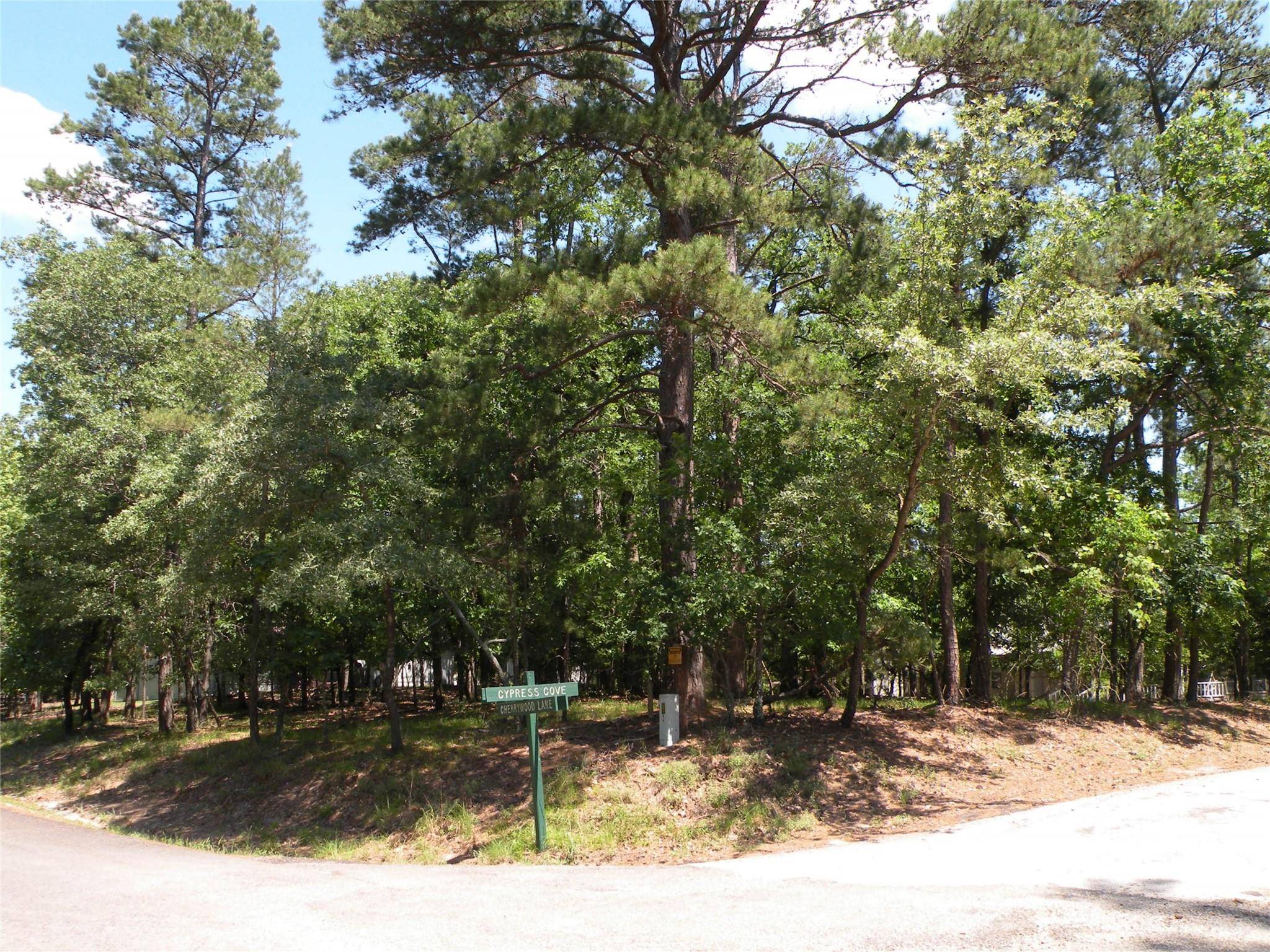 Holly Lake Ranch, TX 75765,8-639 Cypress Cove