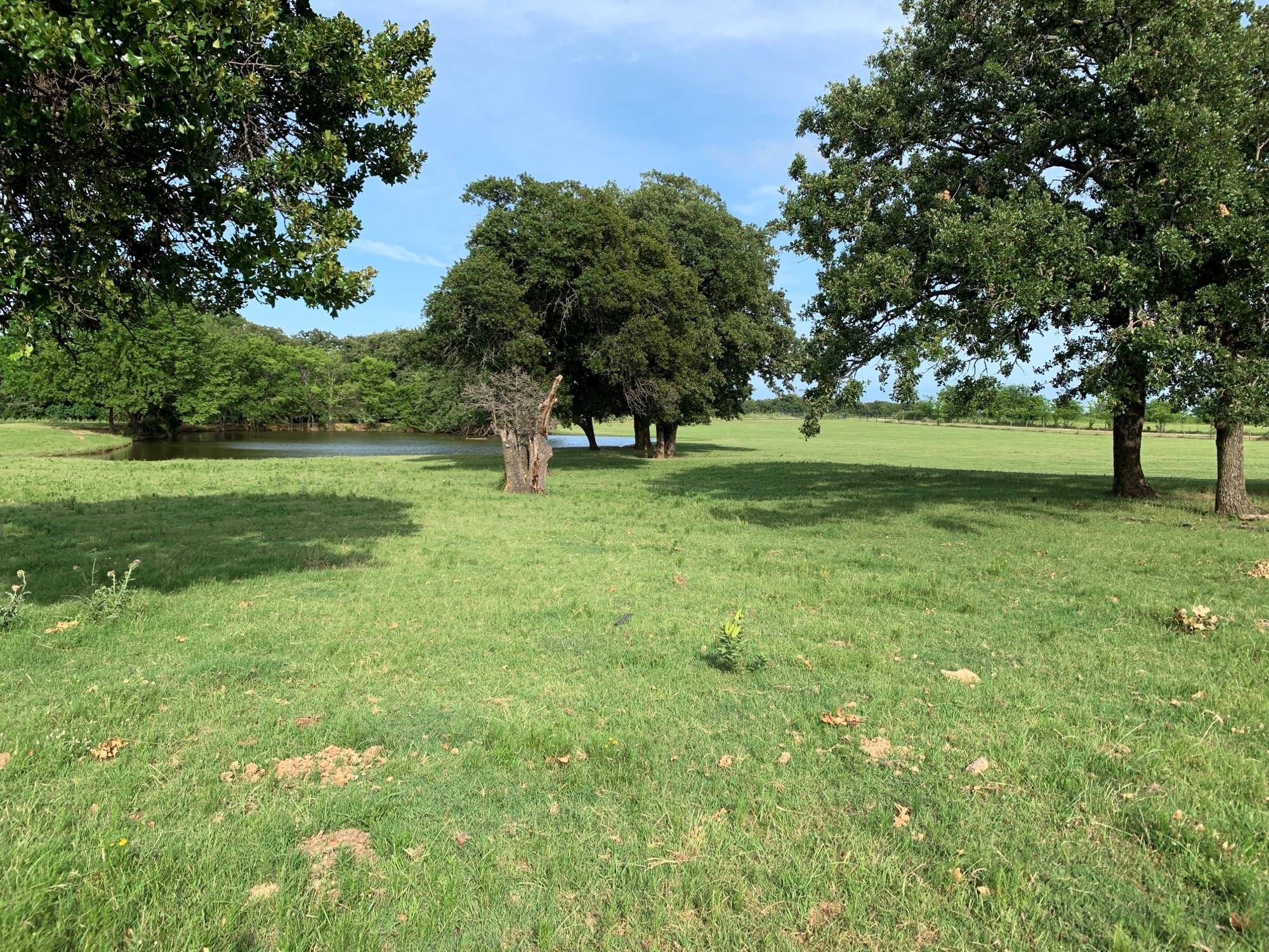 Collinsville, TX 76233,TBD CR 245