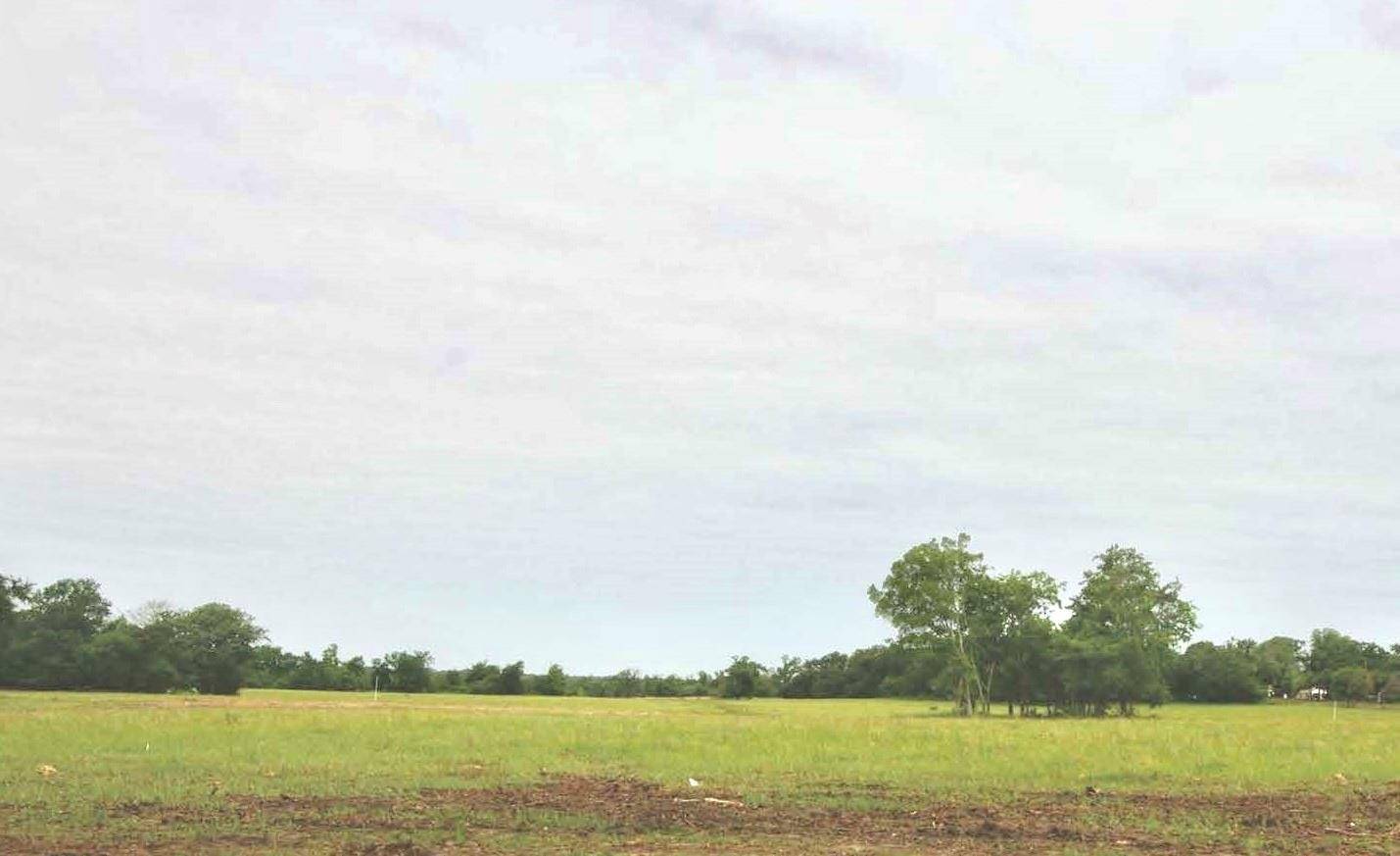 Canton, TX 75103,Lot 5 VZ County Rd 2434