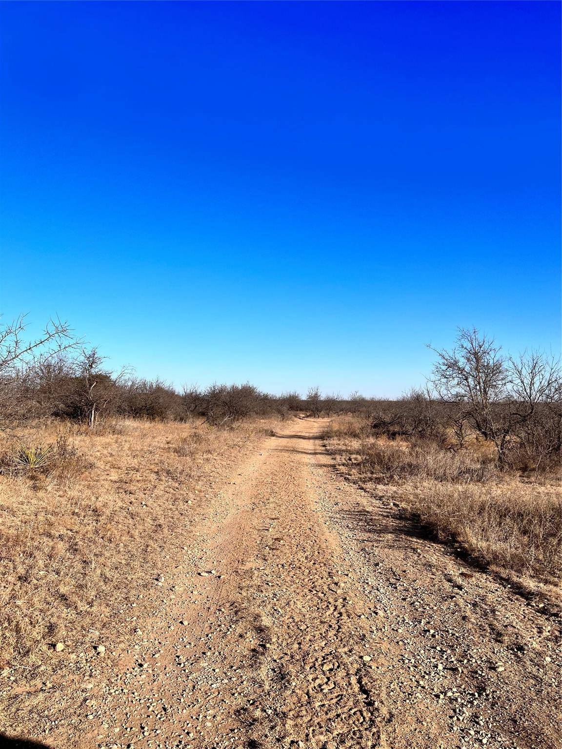 Albany, TX 76430,TBD CR 119 #4