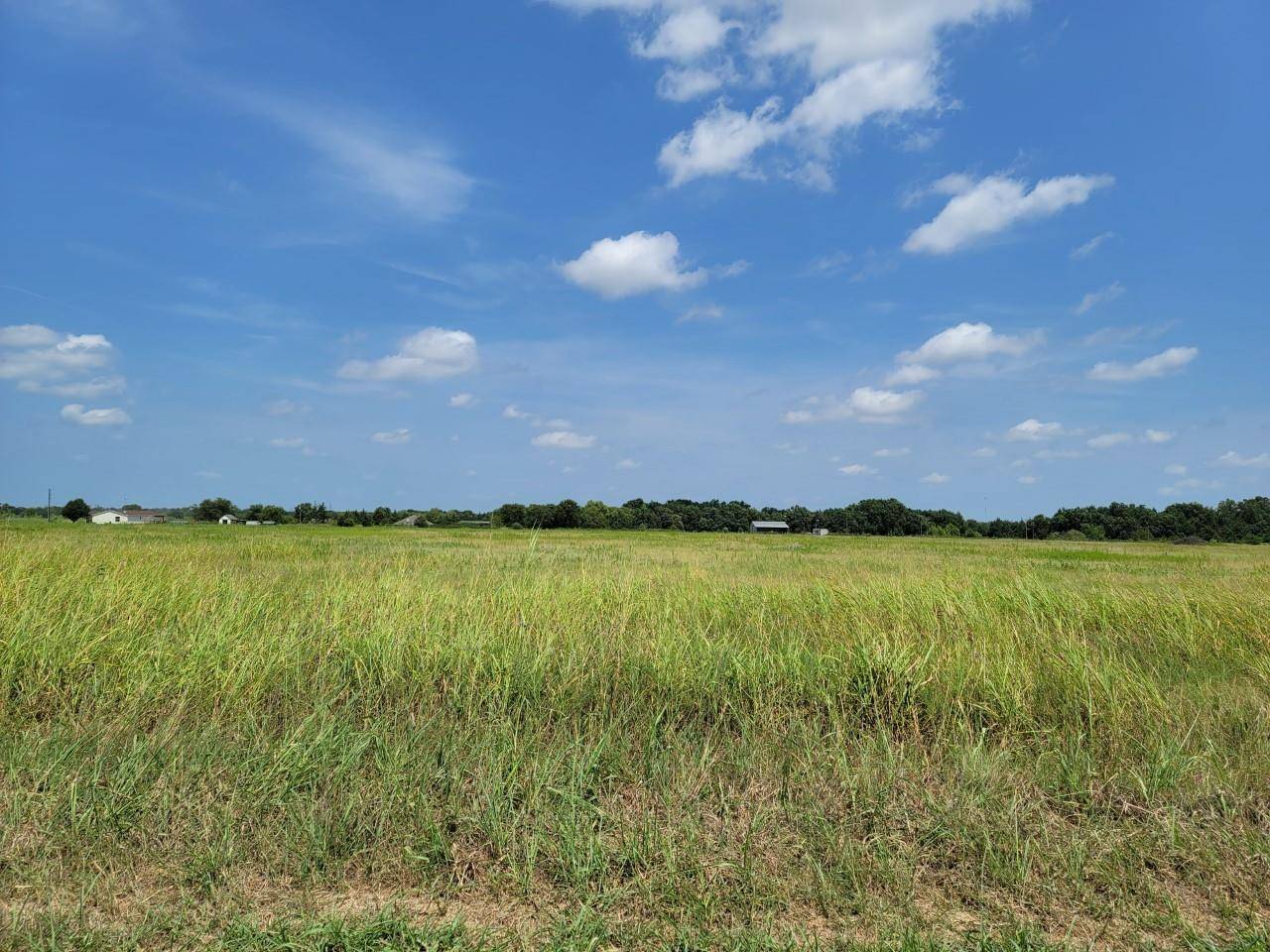 Savoy, TX 75479,LOT 8 County Rd 1245