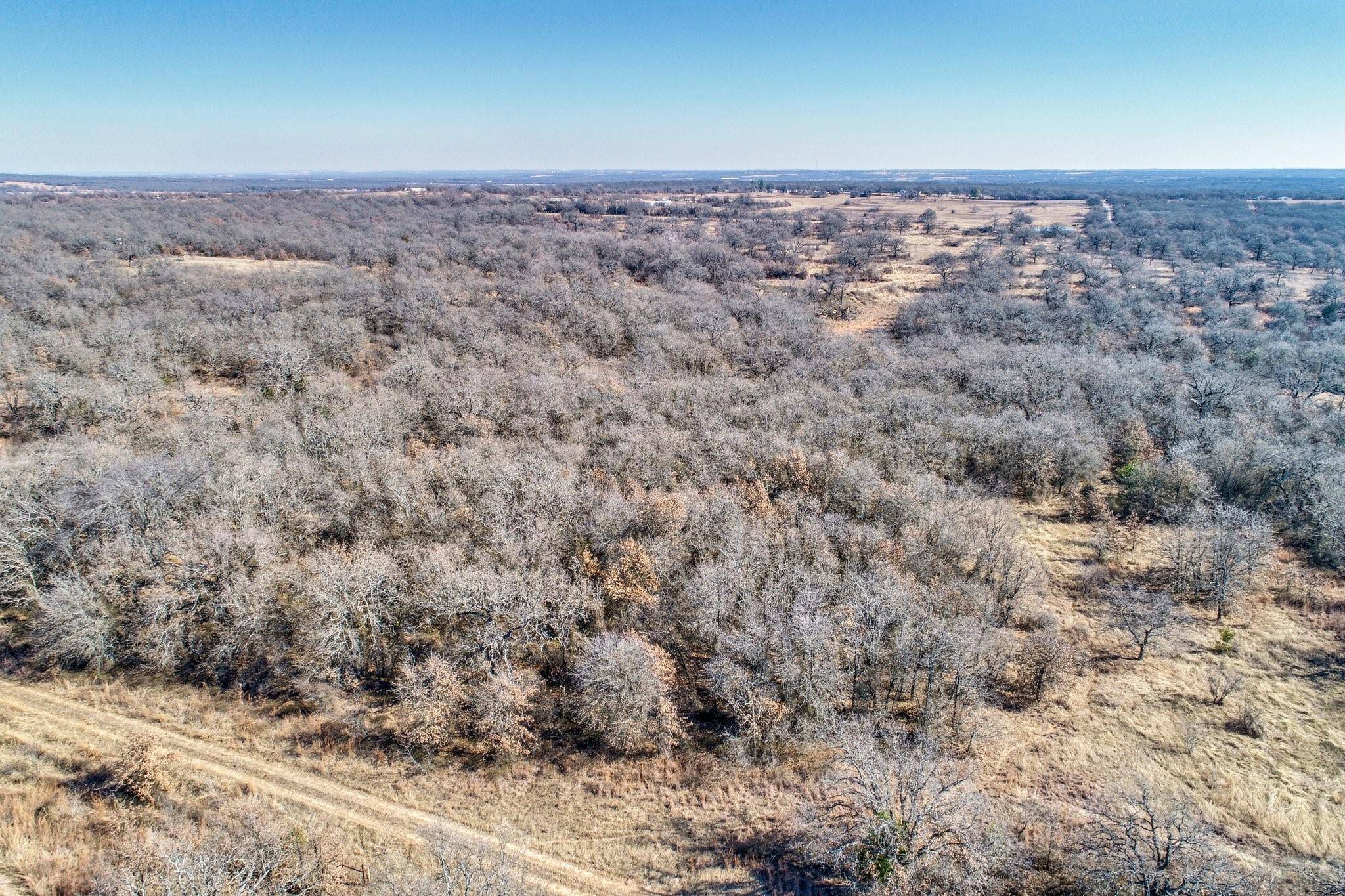 Perrin, TX 76486,Lot 6 Wilson Rd