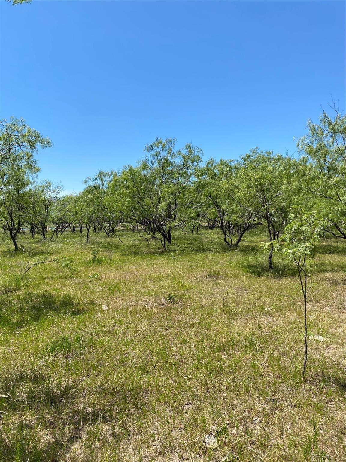 Ennis, TX 75119,Lot 10 TBD Fm 1181