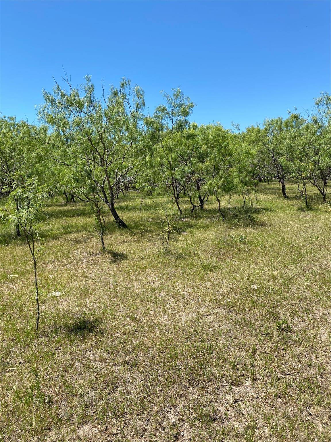 Ennis, TX 75119,Lot 10 TBD Fm 1181