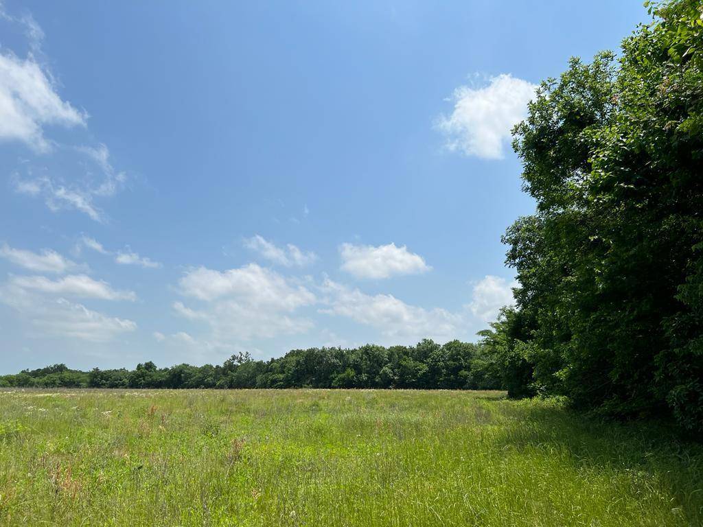 Caddo Mills, TX 75135,Lot 2: 2415 County Rd 2134