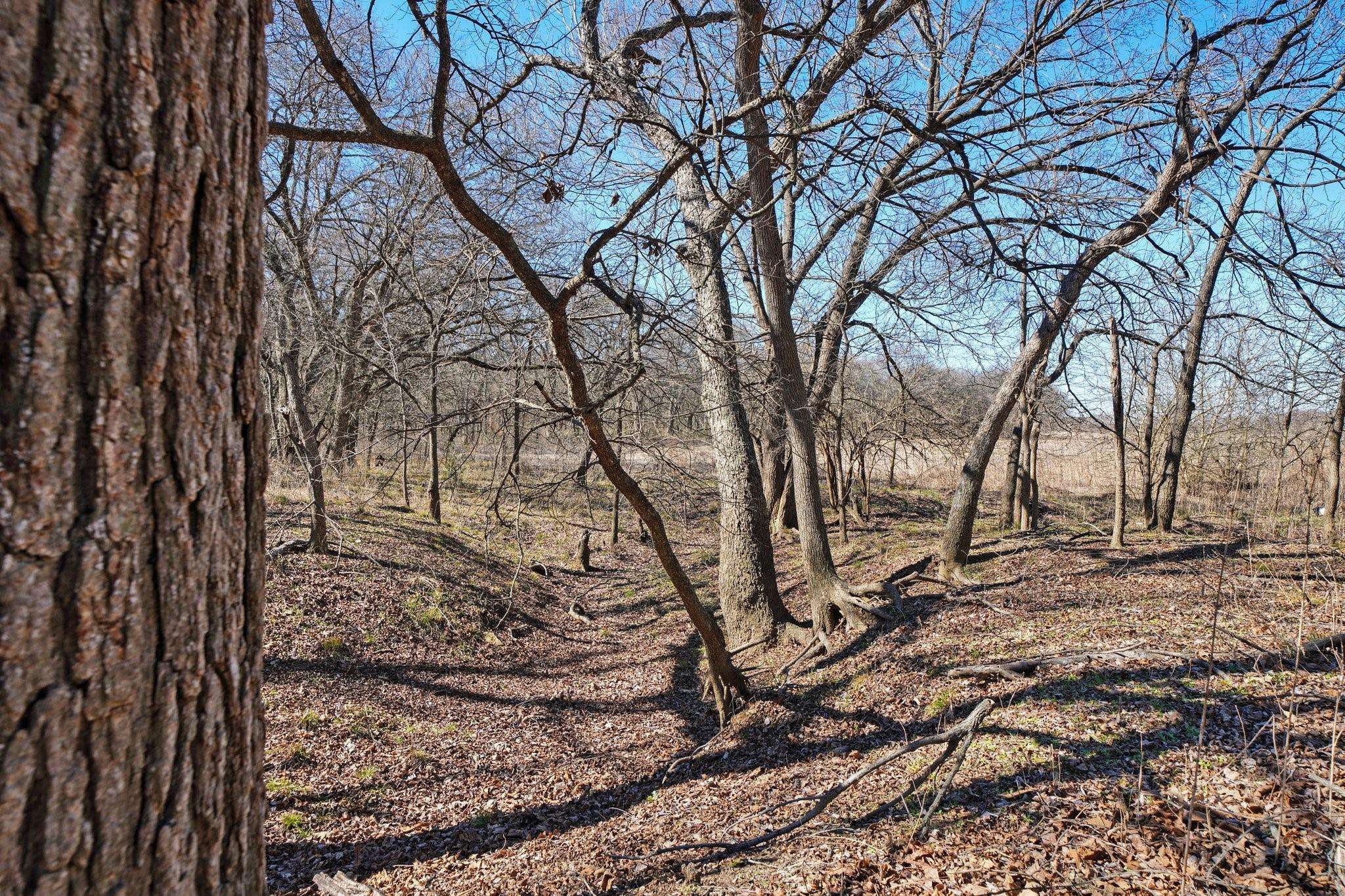 Grandview, TX 76050,TBD Lot 13 County Road 102