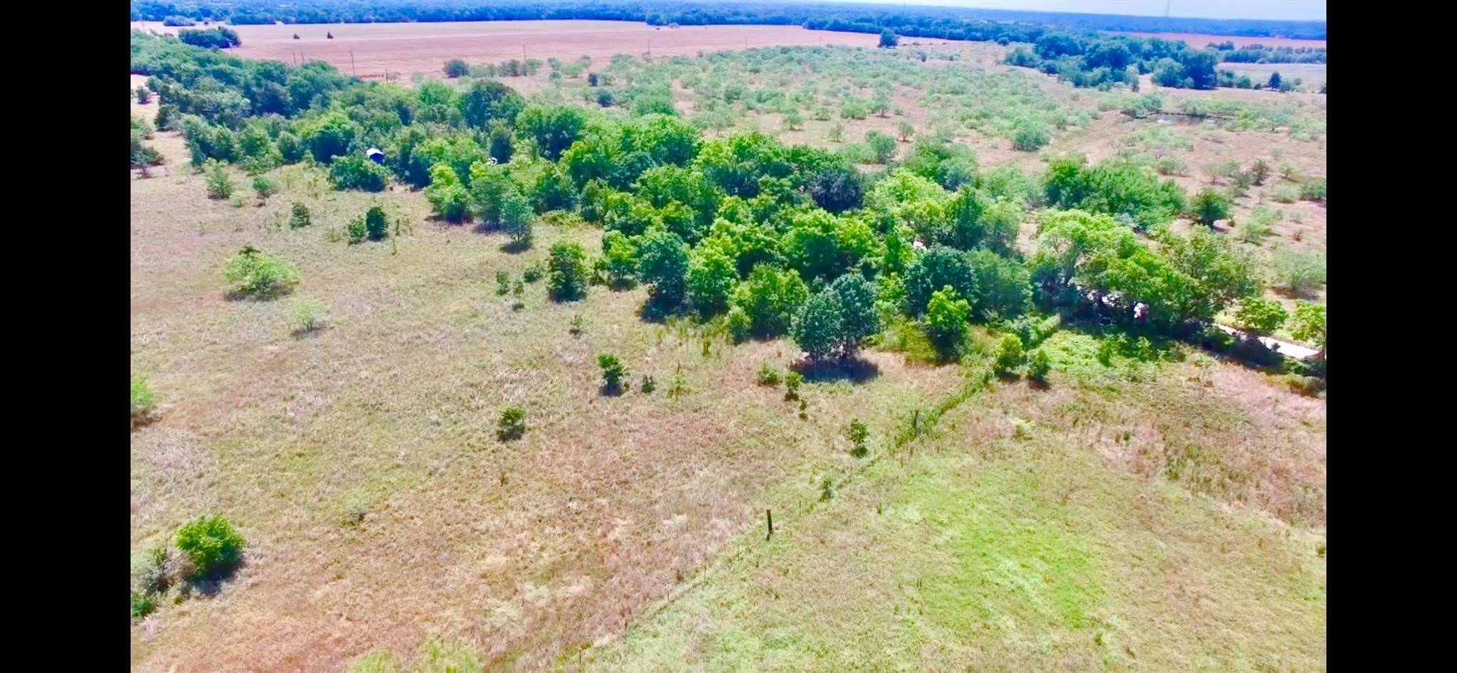 Kerens, TX 75144,12649 County Road 3270