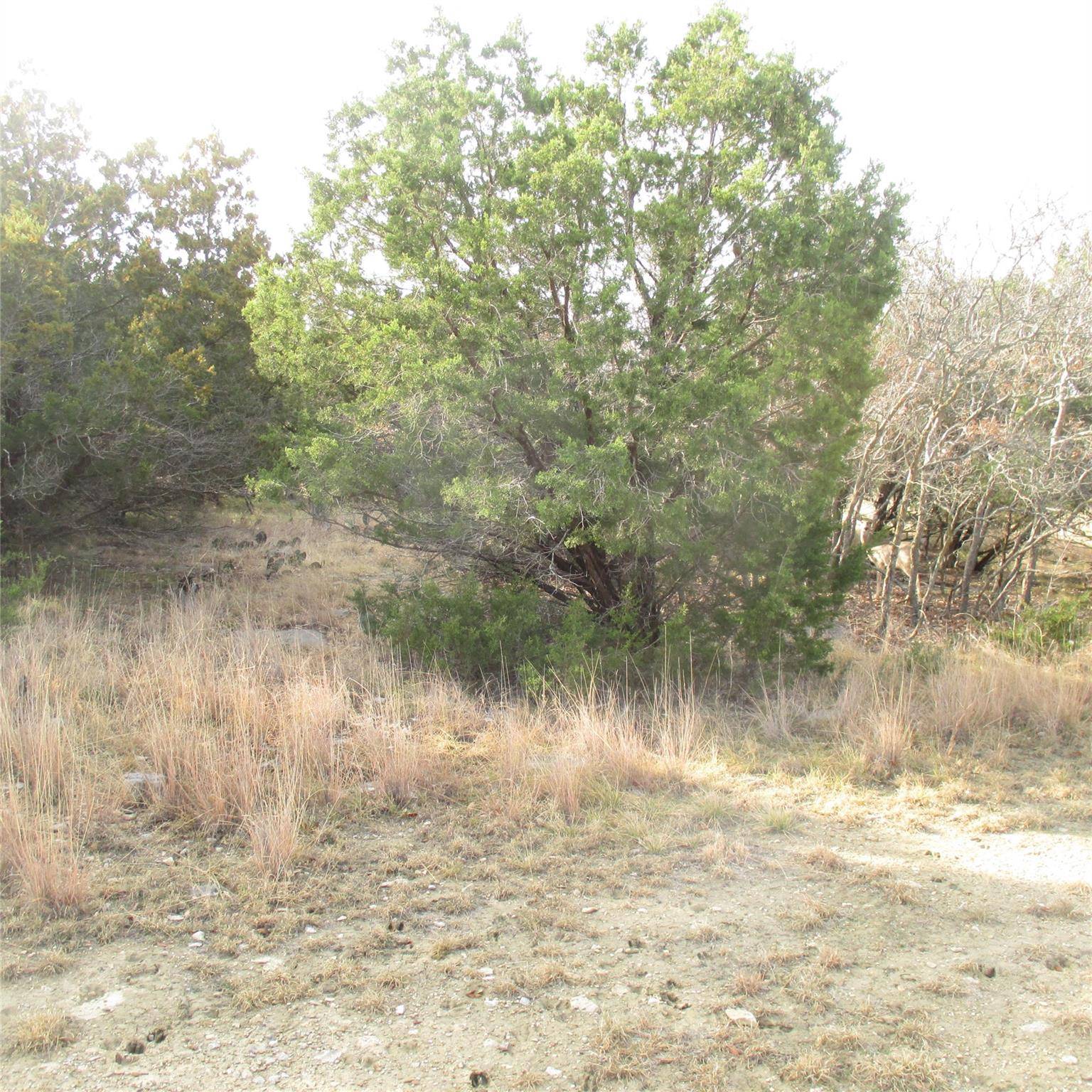 Possum Kingdom Lake, TX 76449,Lot 85 Preston Trail