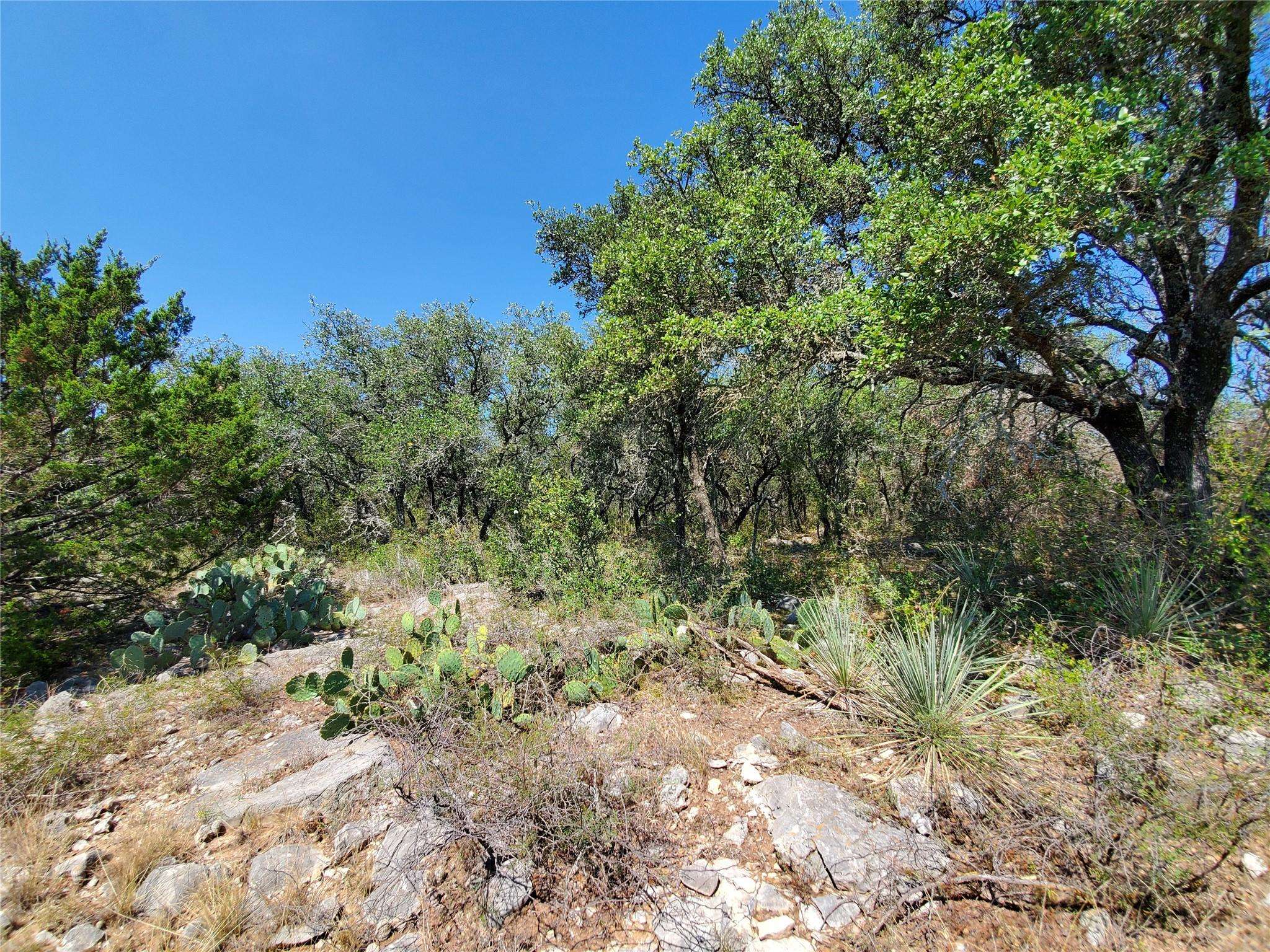 Bangs, TX 76823,5352 County Road 192