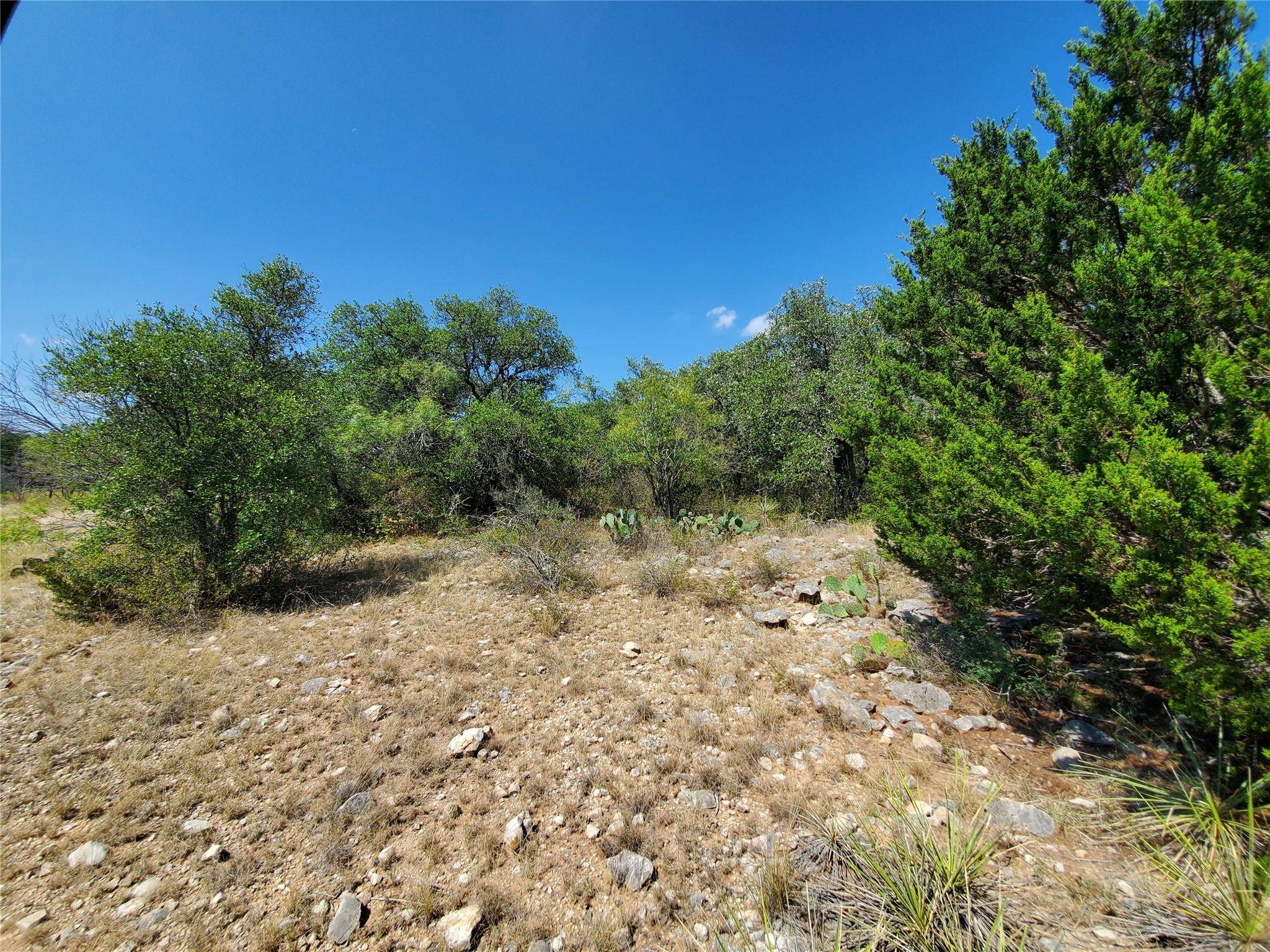 Bangs, TX 76823,5352 County Road 192