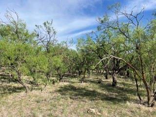 Santa Anna, TX 76878,TBD County Road 278