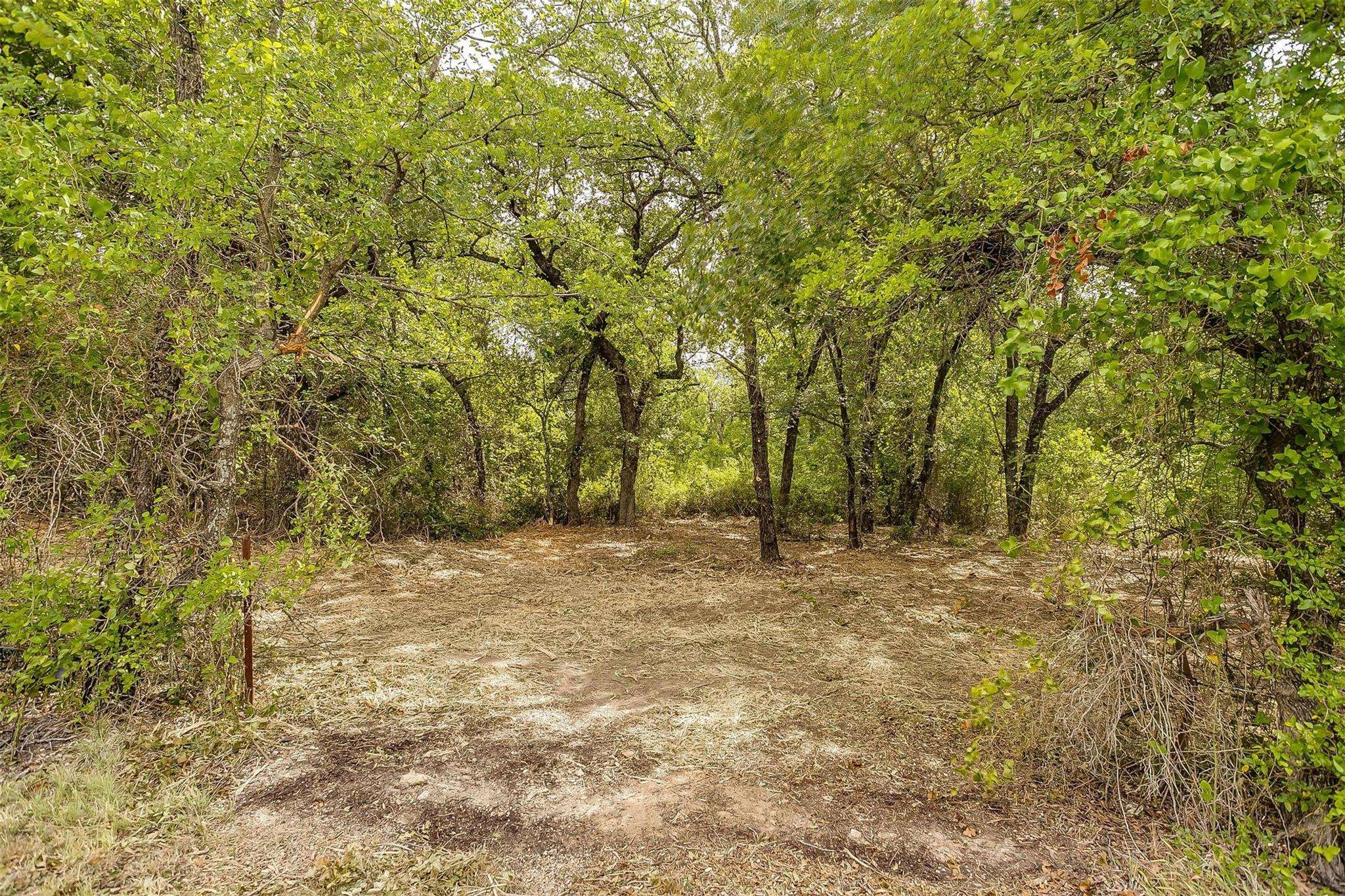 Cleburne, TX 76033,TBD Tract 1 County Road 1117