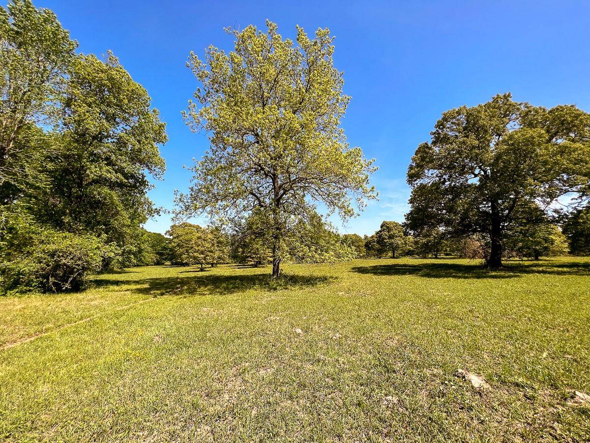 Huntsville, TX 77340,000 Robinson Creek Rd