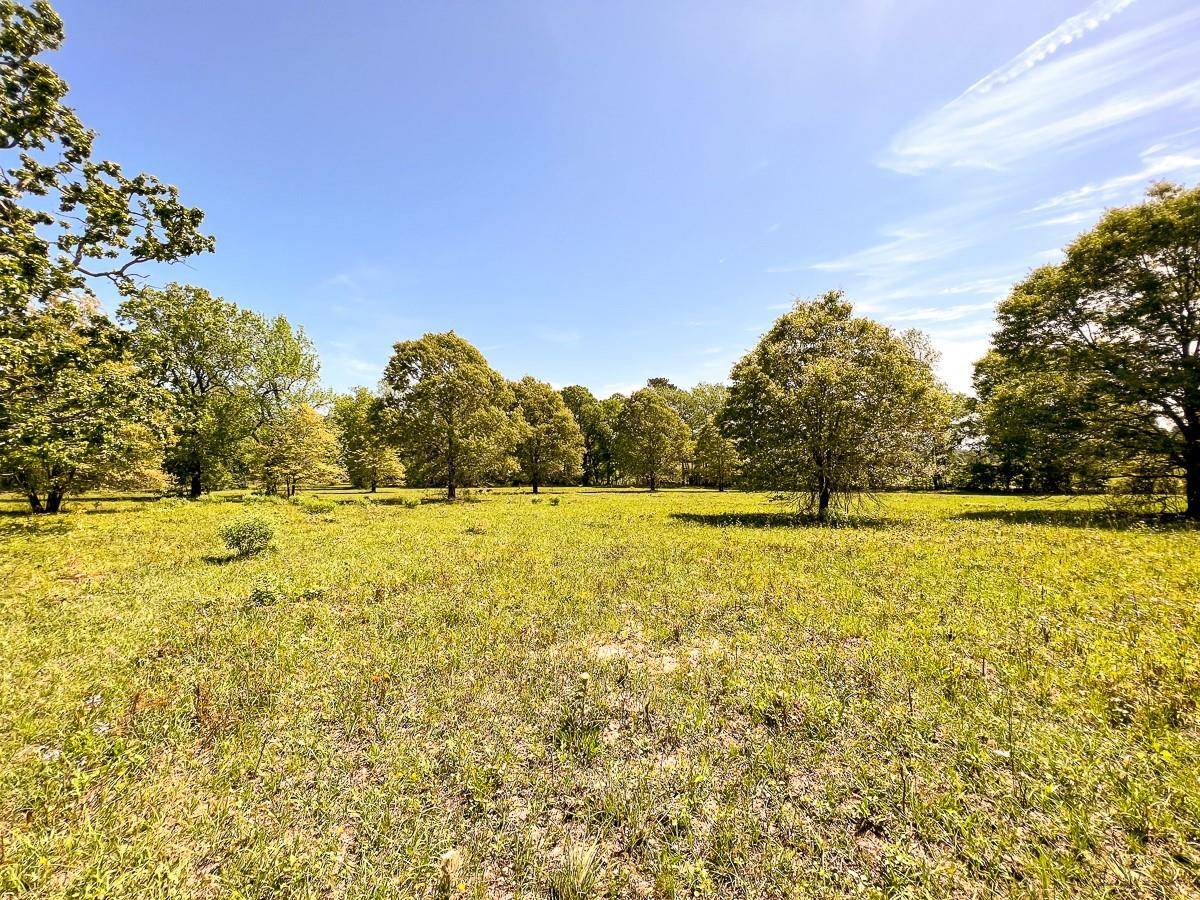 Huntsville, TX 77340,000 Robinson Creek Rd